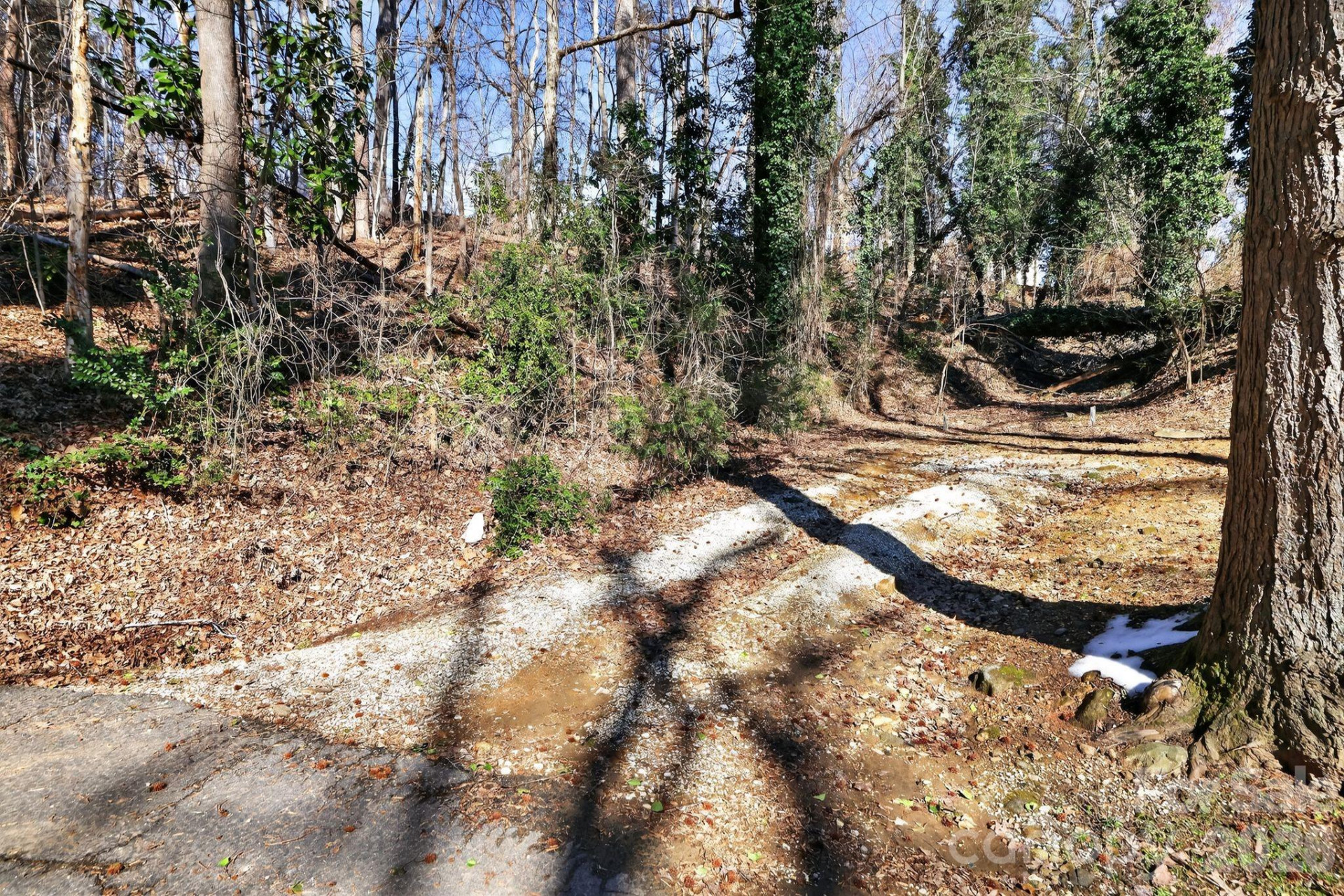 110 Pine Street - Photo 7