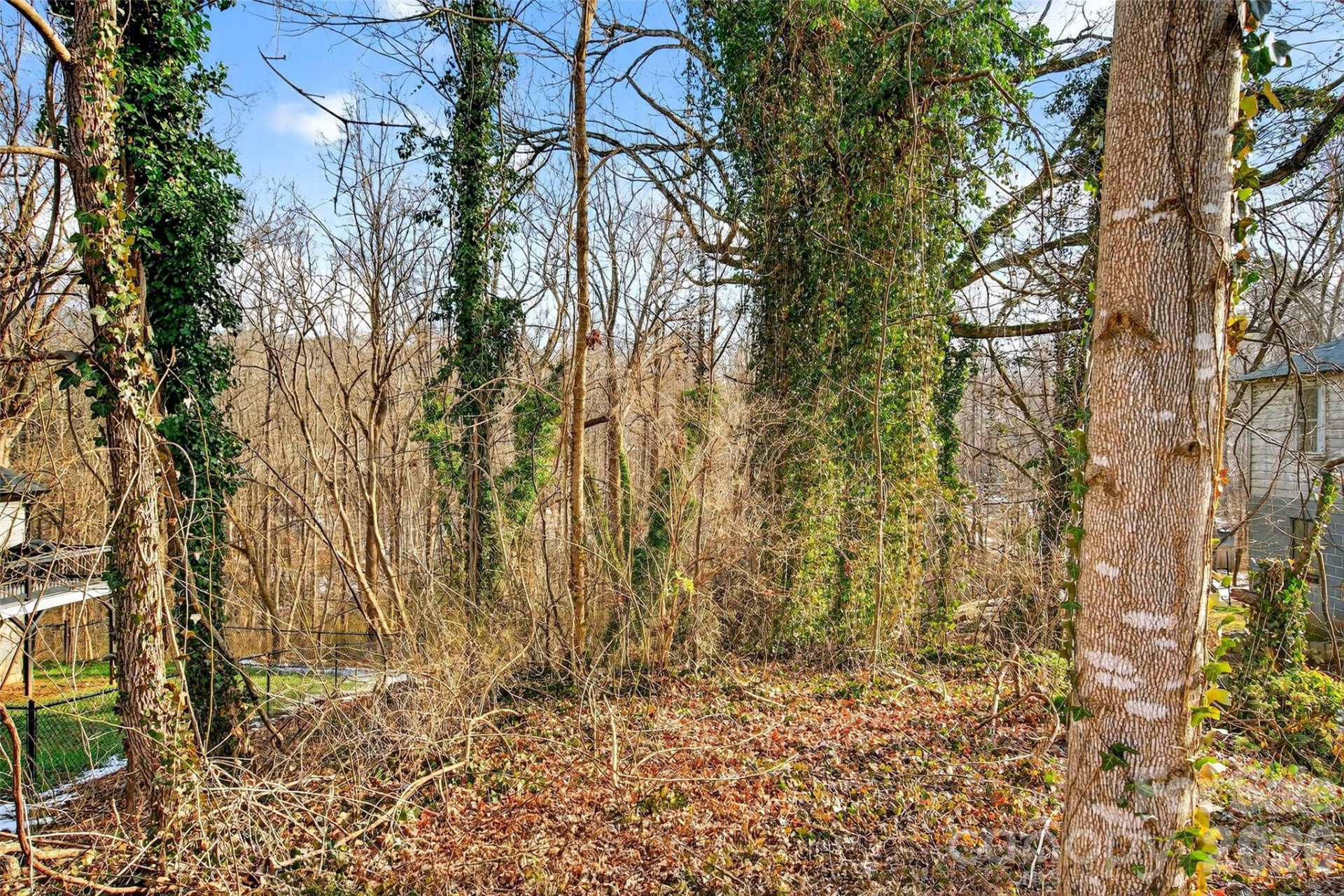 250 Seagle Street - Photo 27