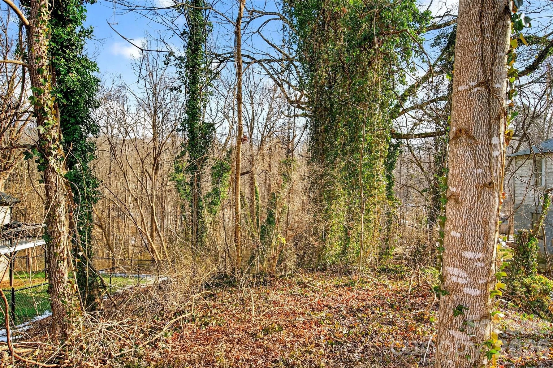 250 Seagle Street - Photo 31