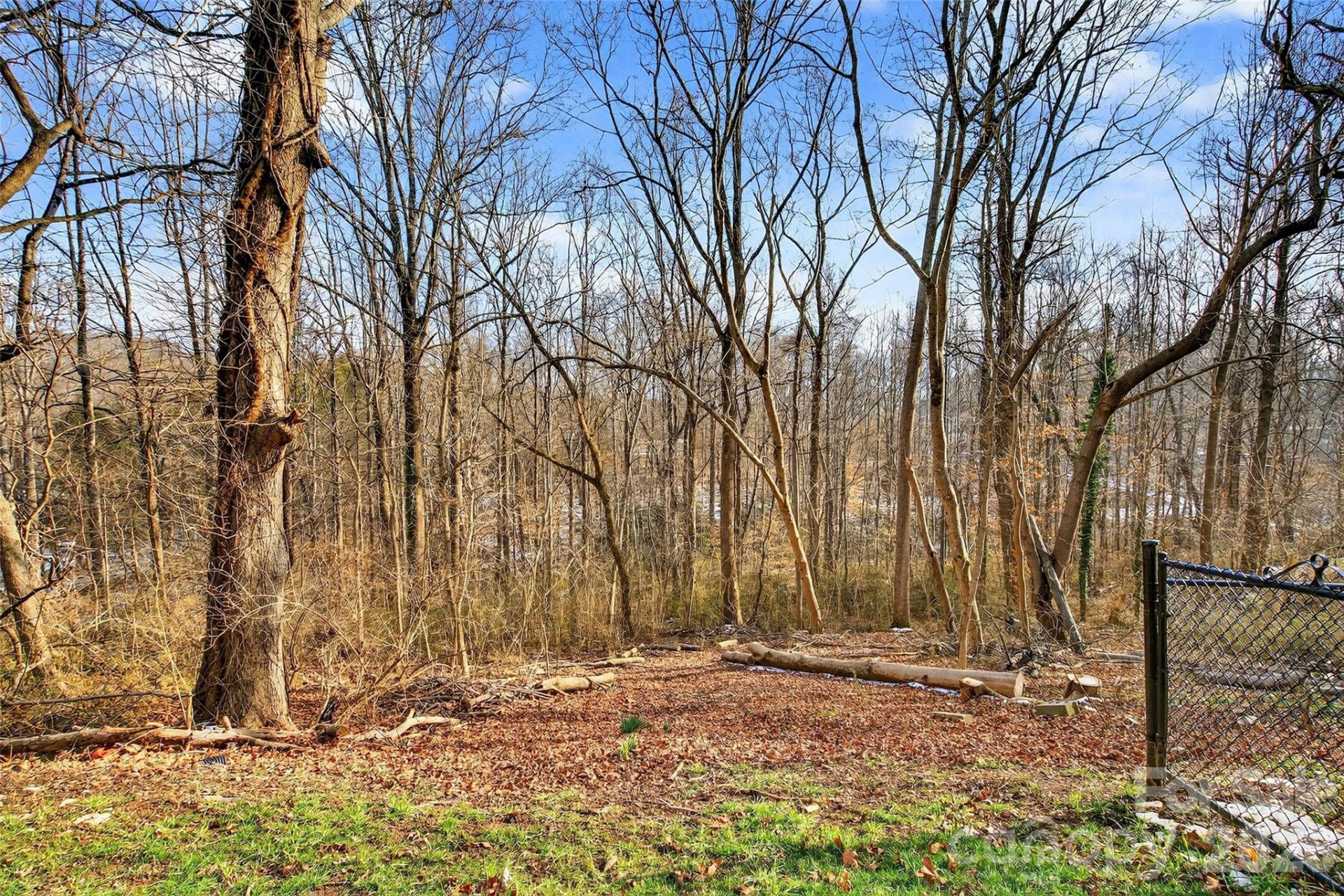 250 Seagle Street - Photo 5