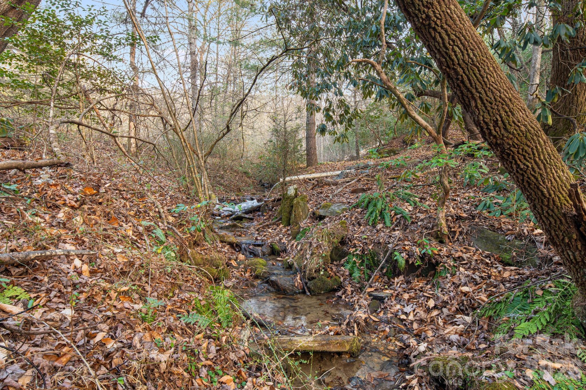 0000 Red Eft Way - Photo 6