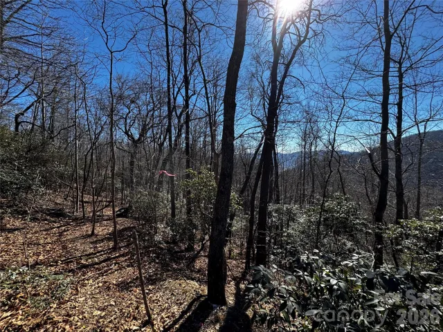 TBD Acacia Court, Black Mountain, NC, 28711