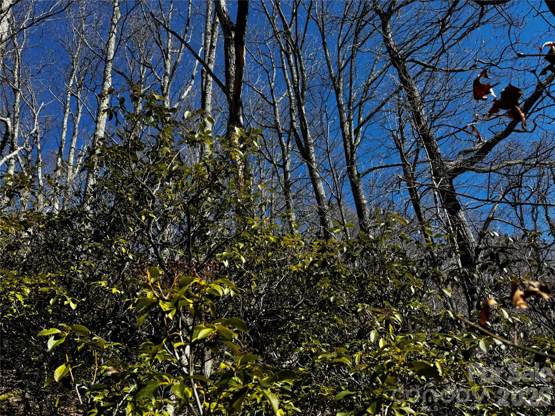 TBD Acacia Court #936 - Photo 15