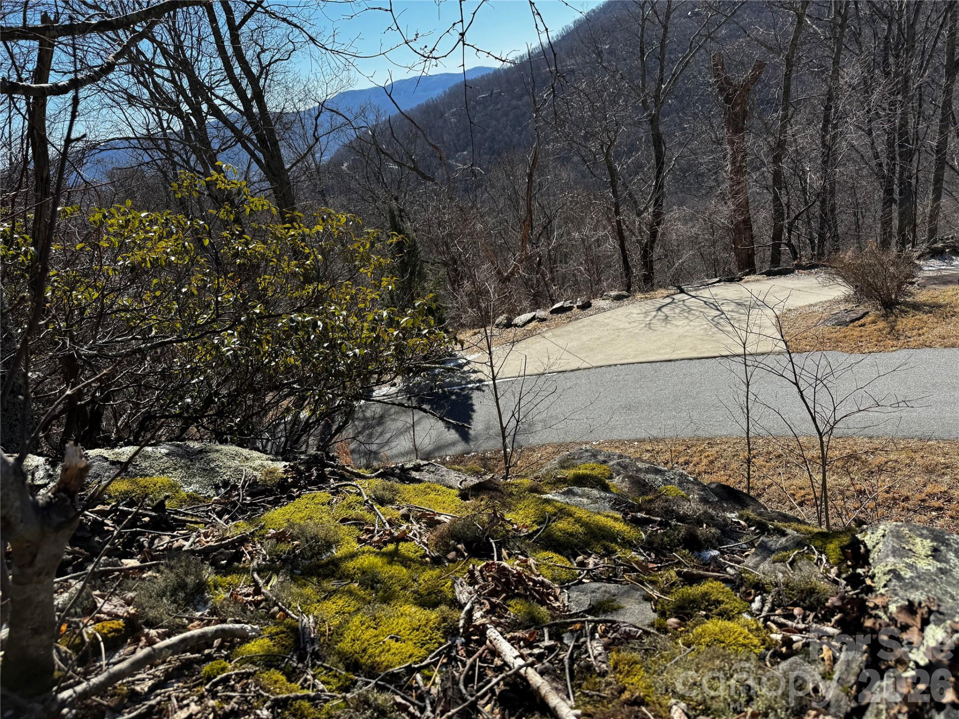 TBD Acacia Court #936 - Photo 16