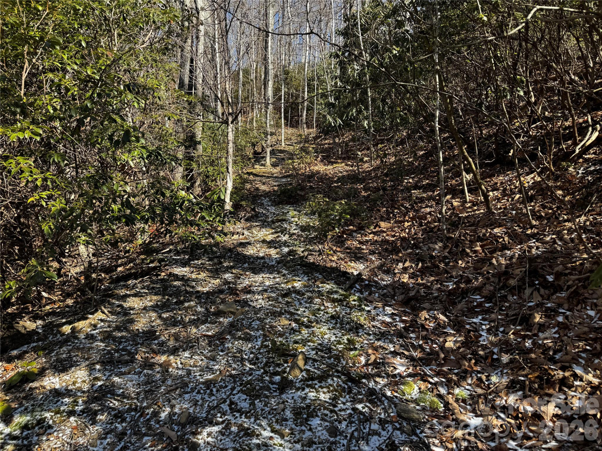 TBD Acacia Court #936 - Photo 17