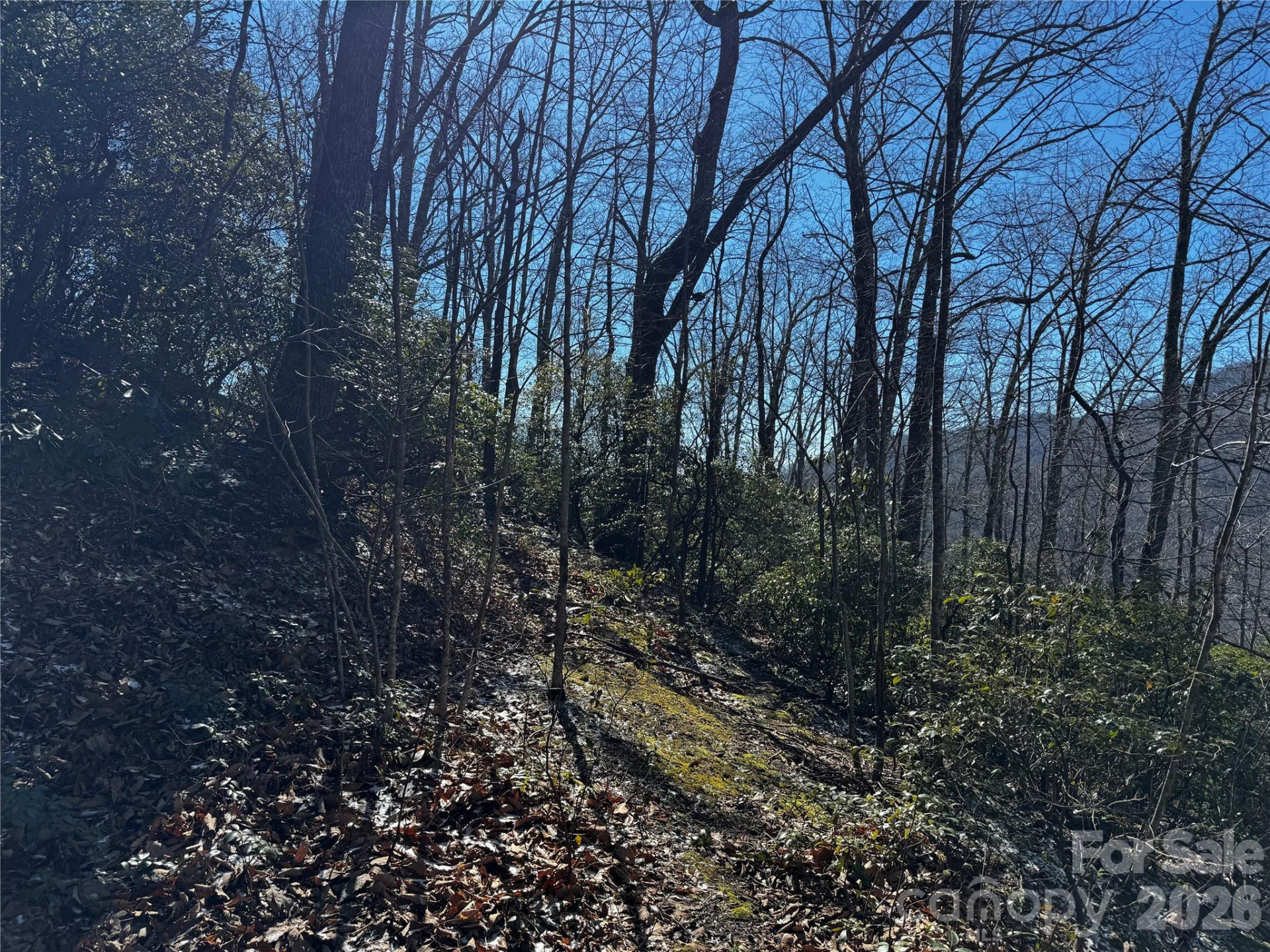 TBD Acacia Court #936 - Photo 18