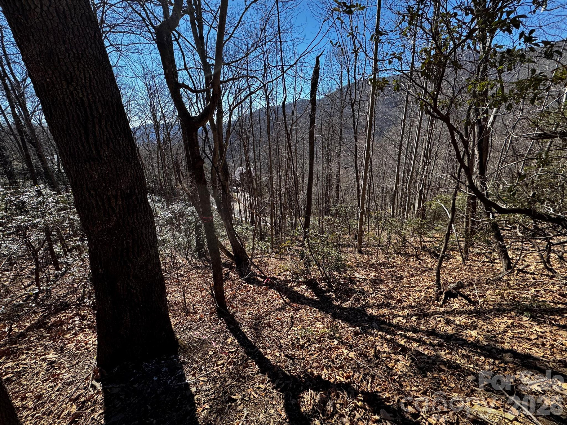 TBD Acacia Court #936 - Photo 20
