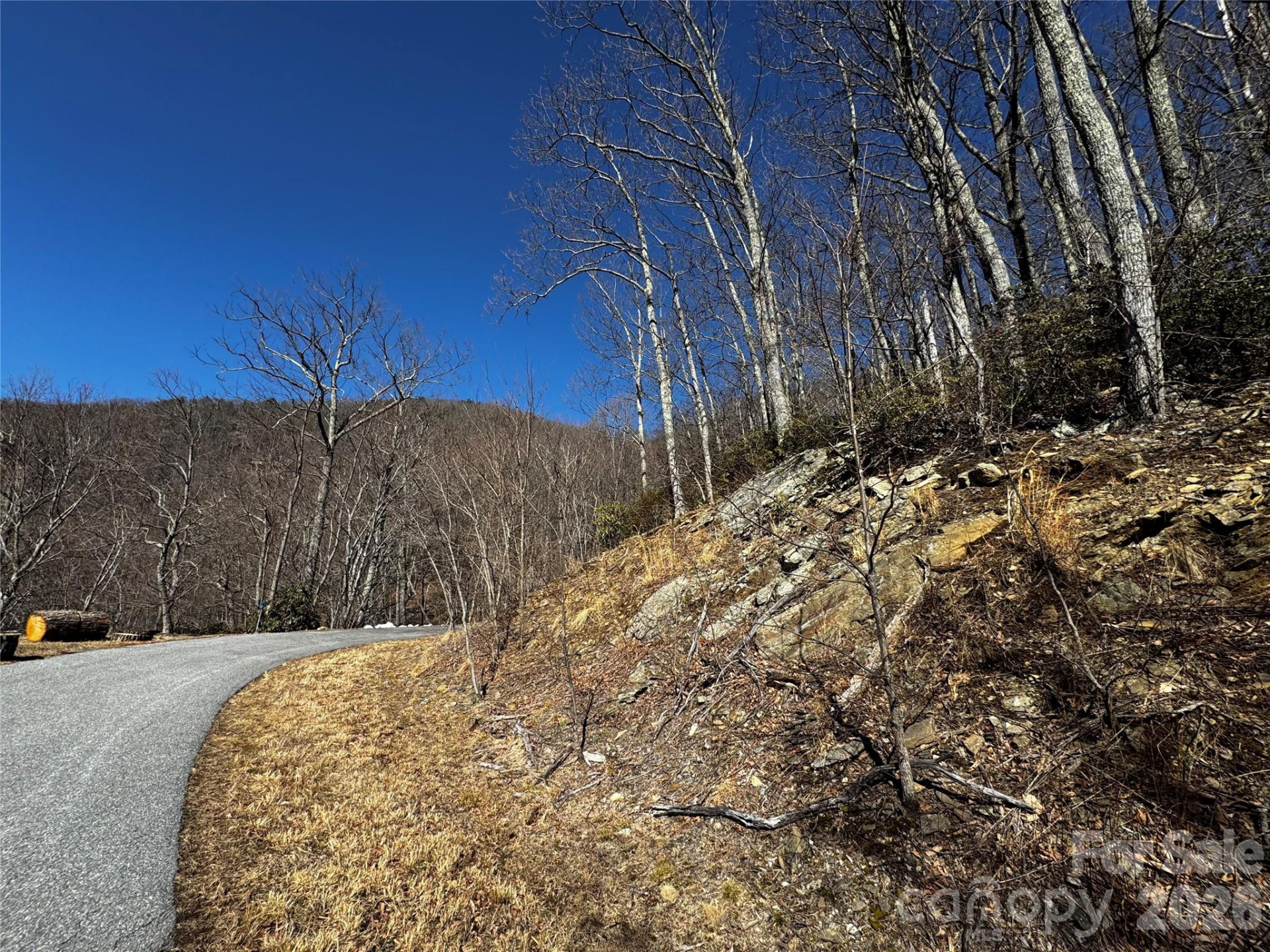 TBD Acacia Court #936 - Photo 3