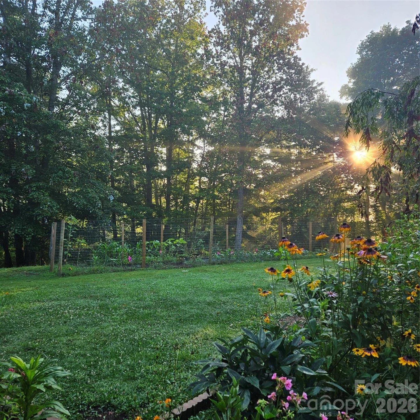 649 Upper Bailey Branch Road - Photo 3