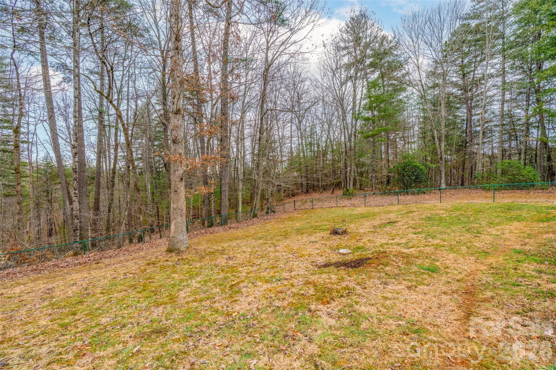 649 Upper Bailey Branch Road - Photo 7