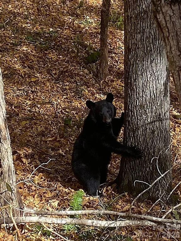 109 Emerald Ridge Road - Photo 32