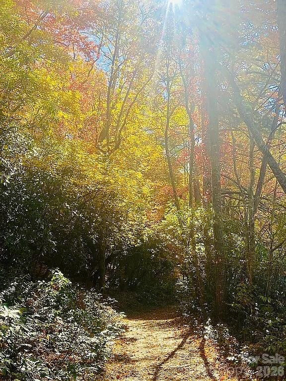 109 Emerald Ridge Road - Photo 40