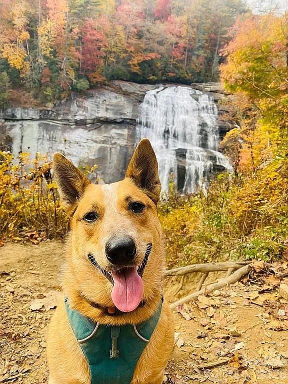 109 Emerald Ridge Road - Photo 41