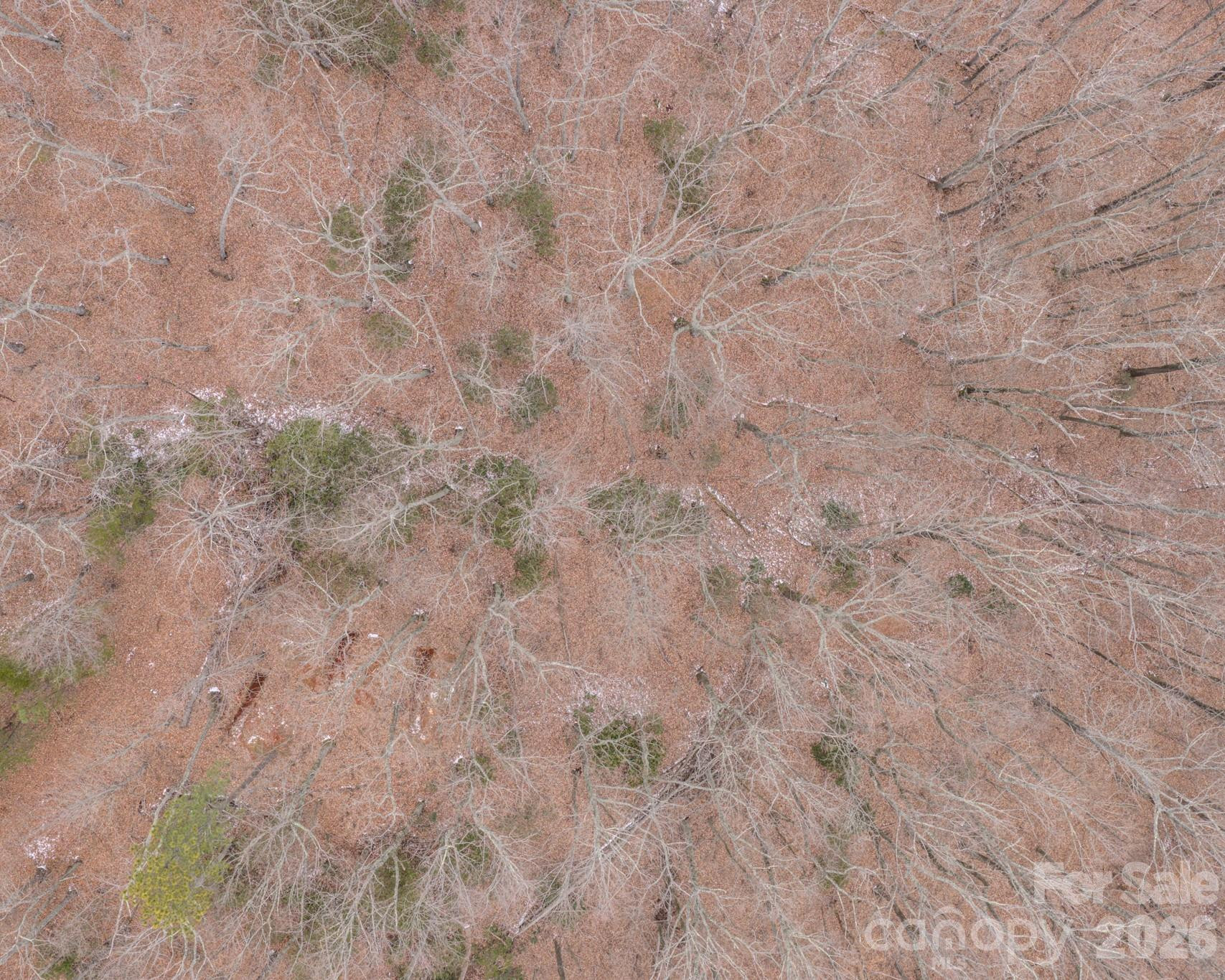 2724 Mountain Crest Drive #75 - Photo 15