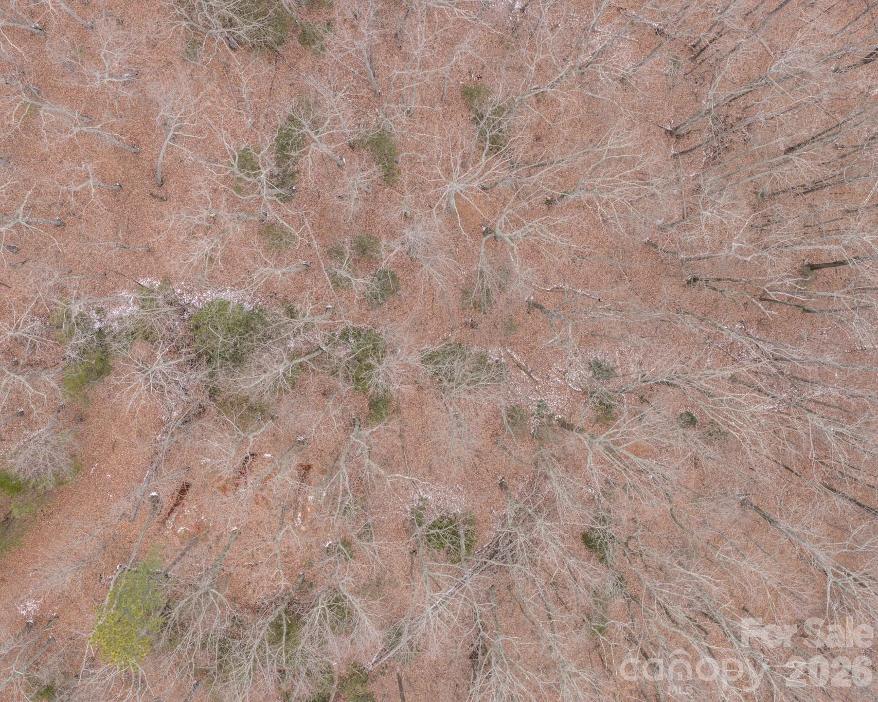 2724 Mountain Crest Drive #75 - Photo 15