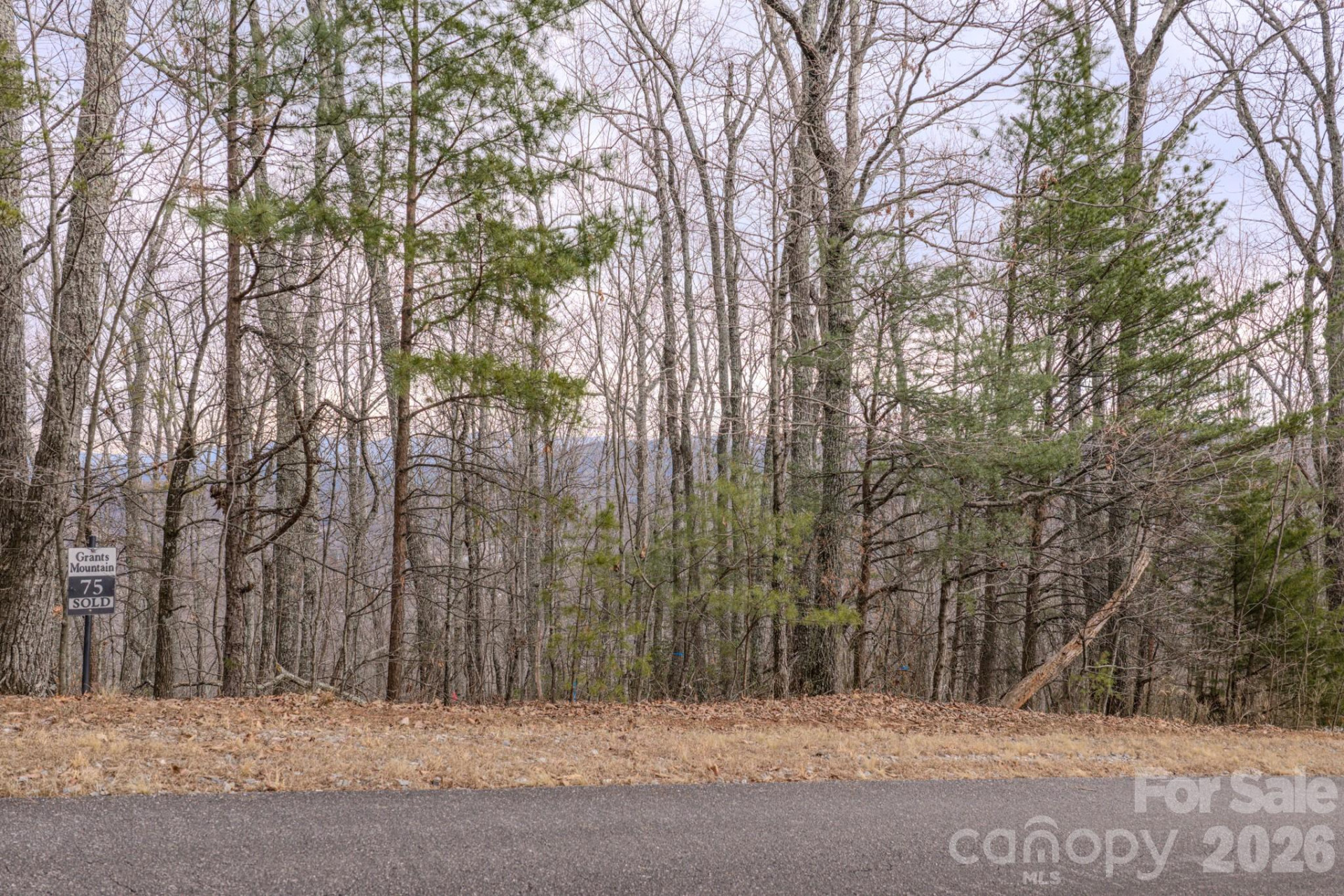 2724 Mountain Crest Drive #75 - Photo 23