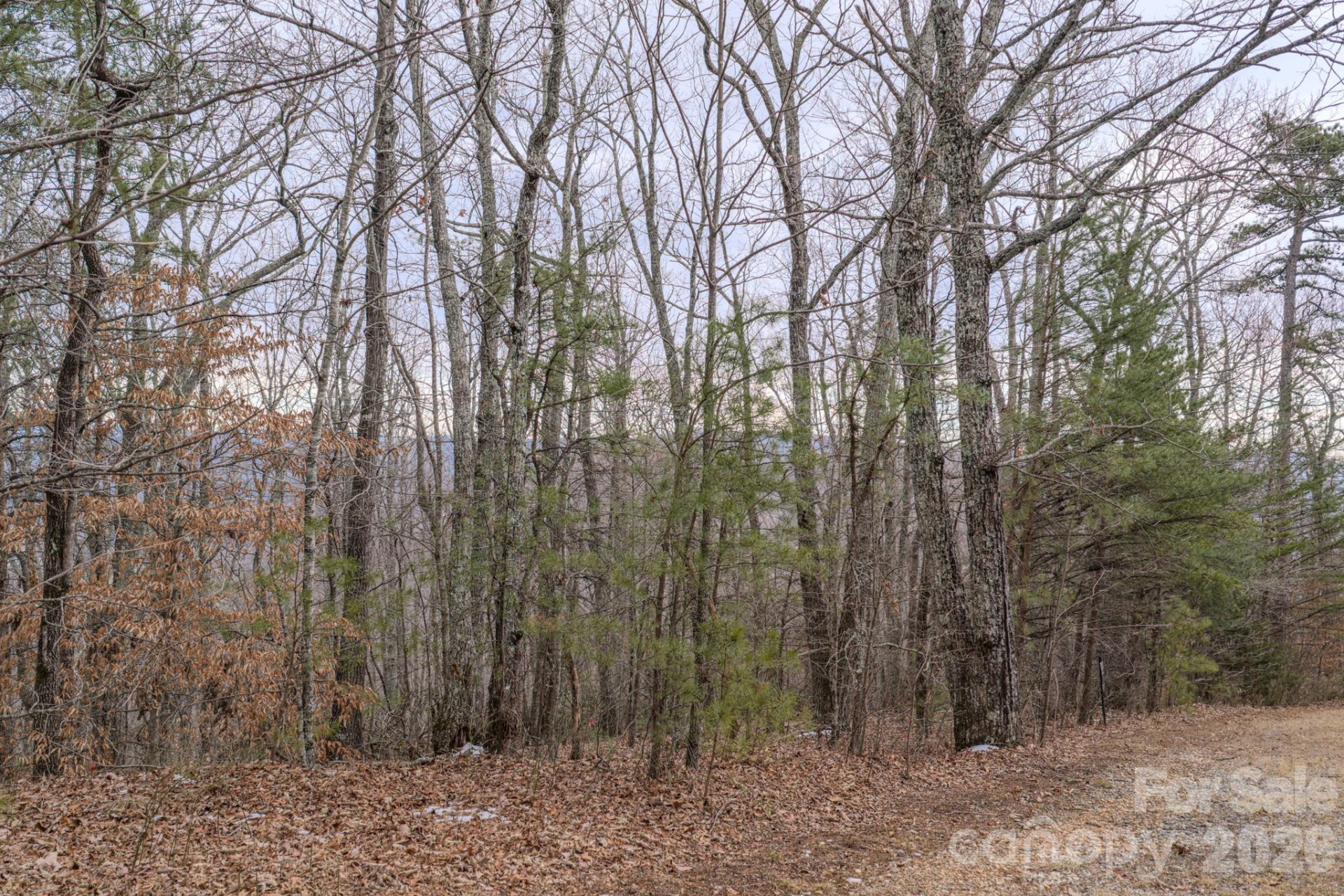 2724 Mountain Crest Drive #75 - Photo 27