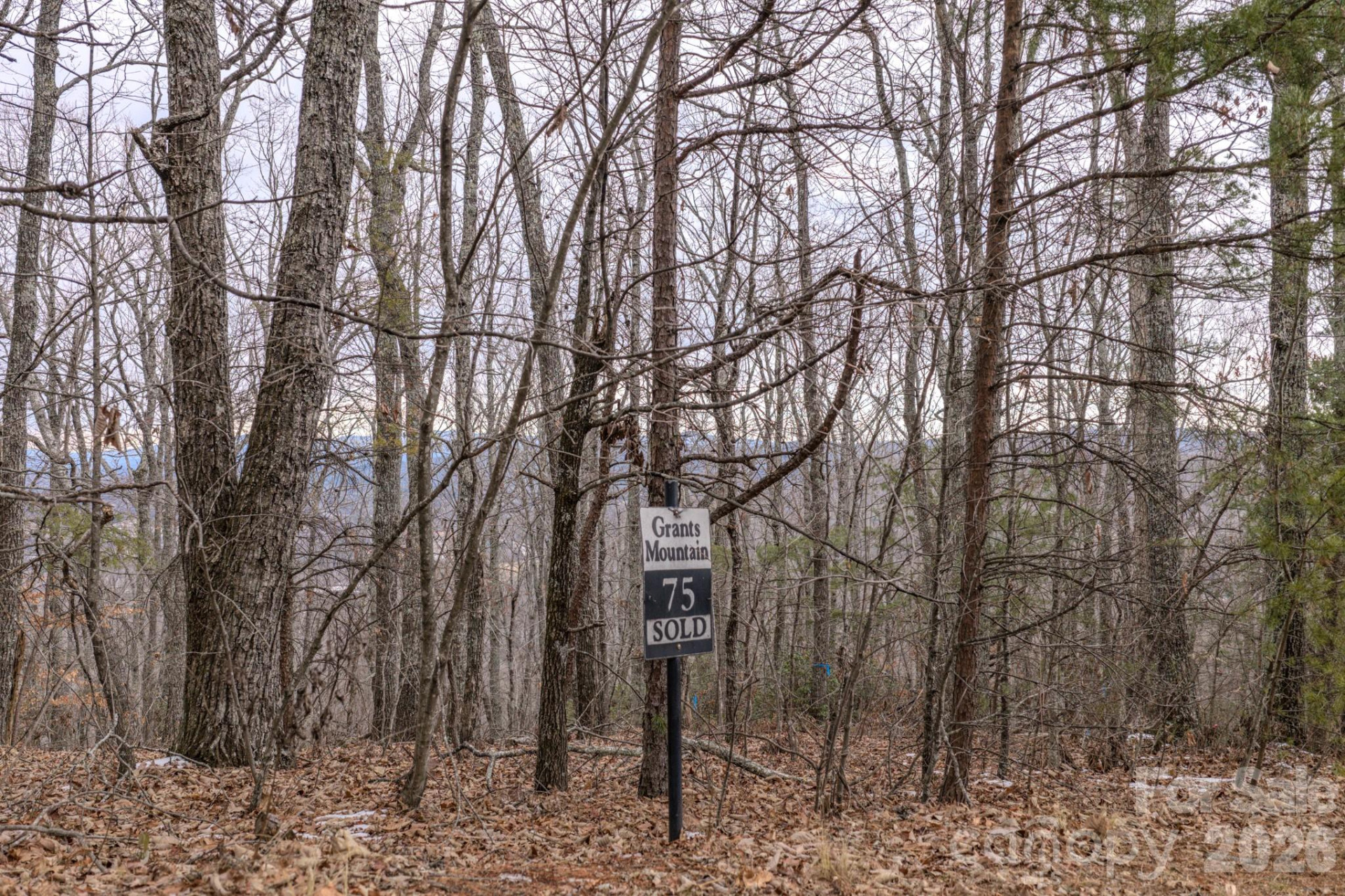 2724 Mountain Crest Drive #75 - Photo 28