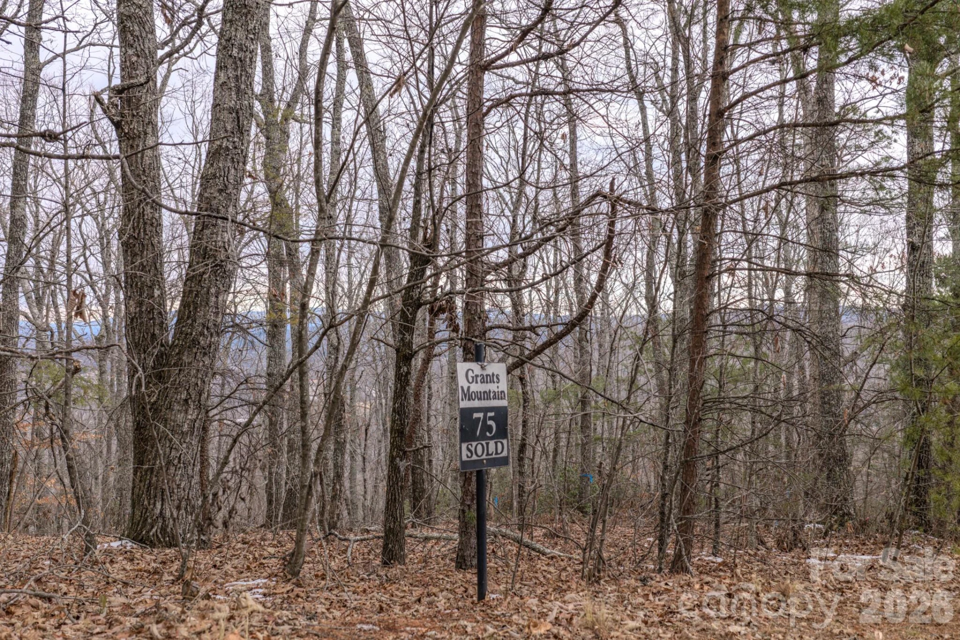 2724 Mountain Crest Drive #75 - Photo 28