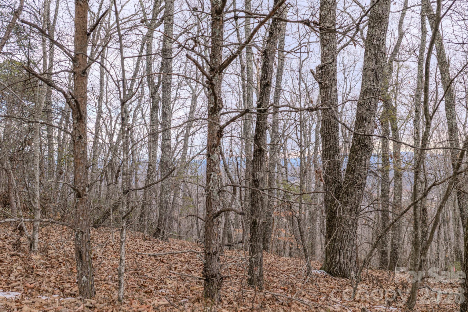 2724 Mountain Crest Drive #75 - Photo 29