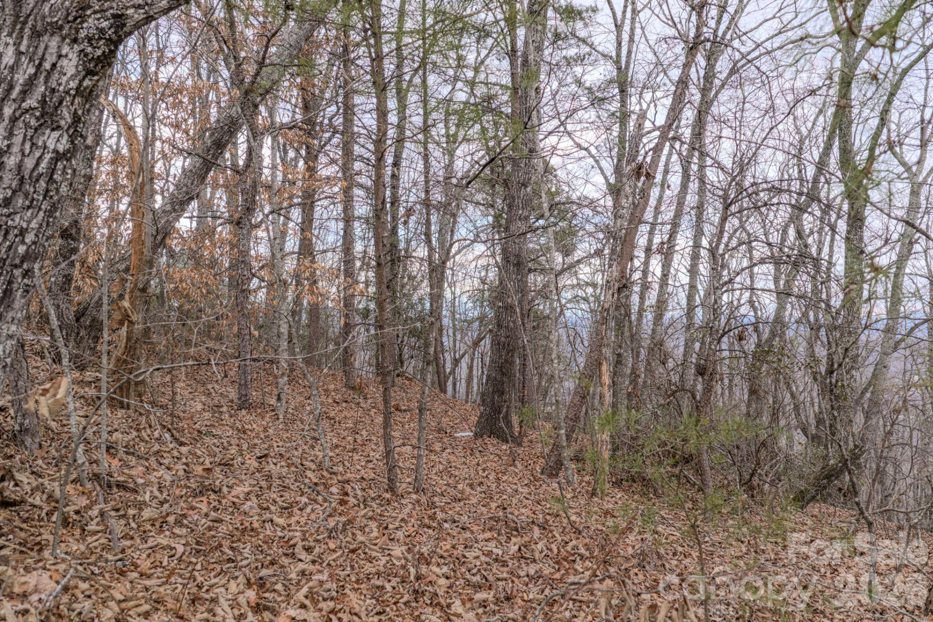 2724 Mountain Crest Drive #75 - Photo 30