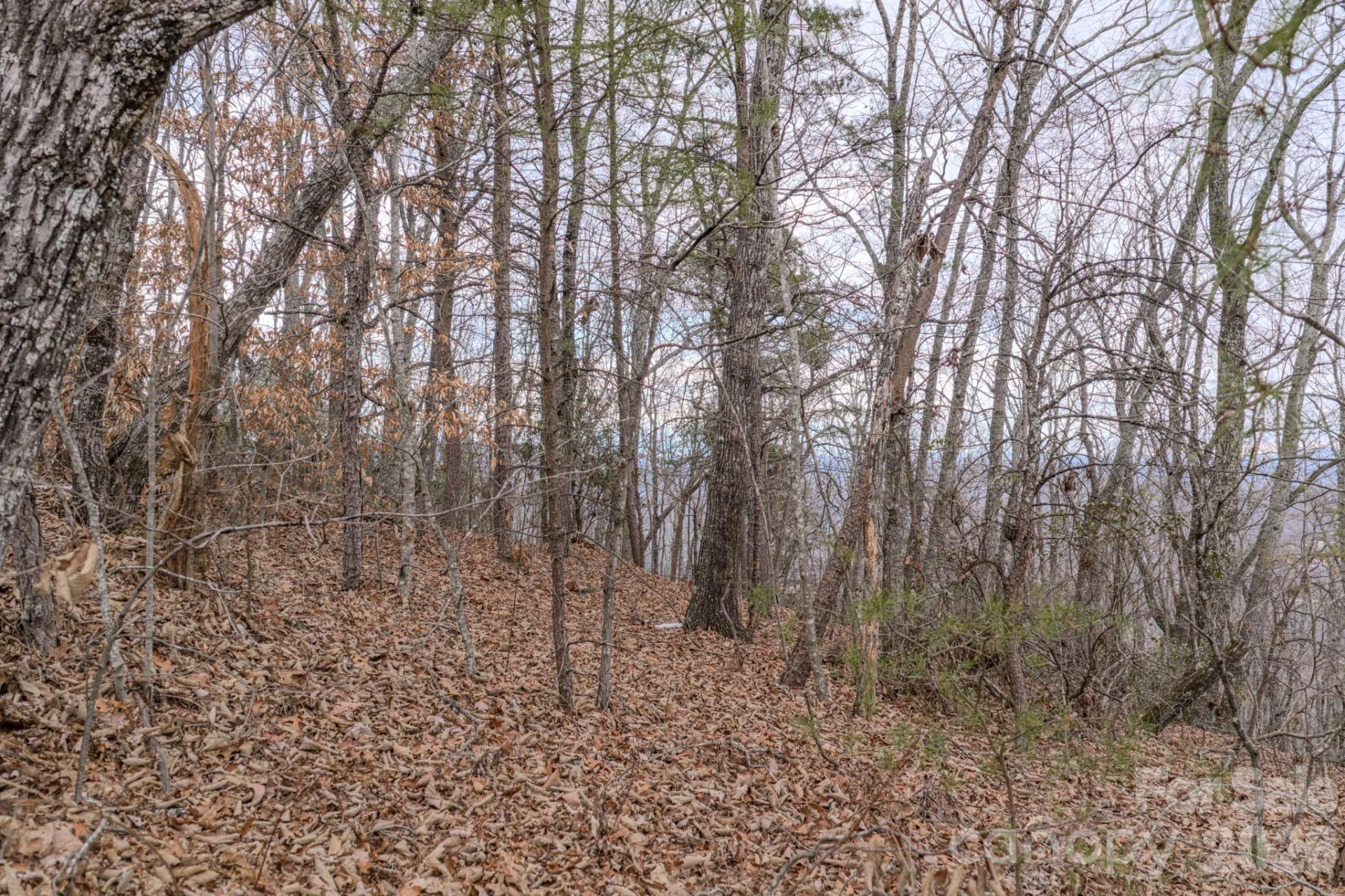 2724 Mountain Crest Drive #75 - Photo 30