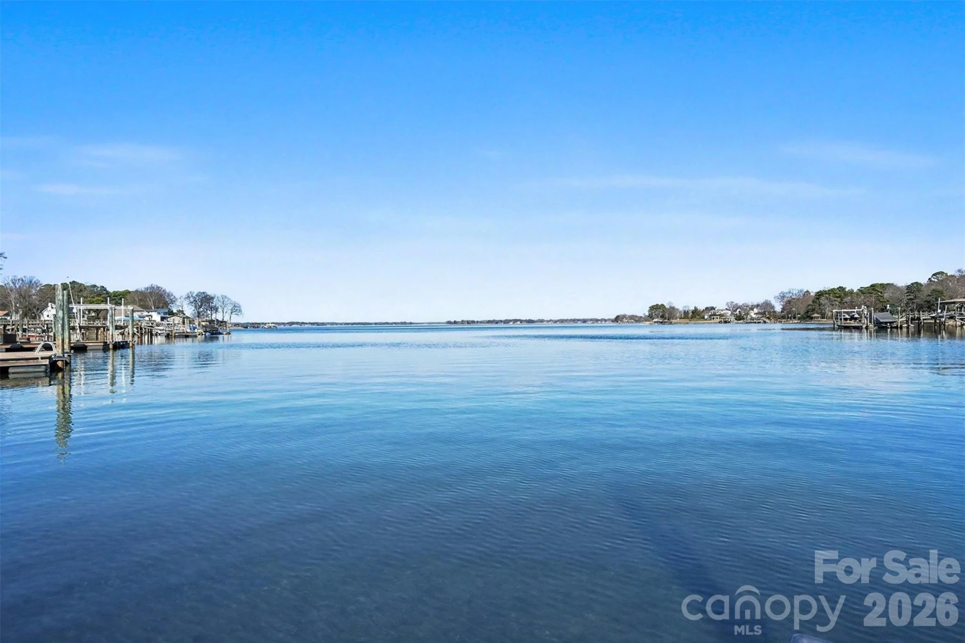 20410 Island Forest Drive - Photo 4