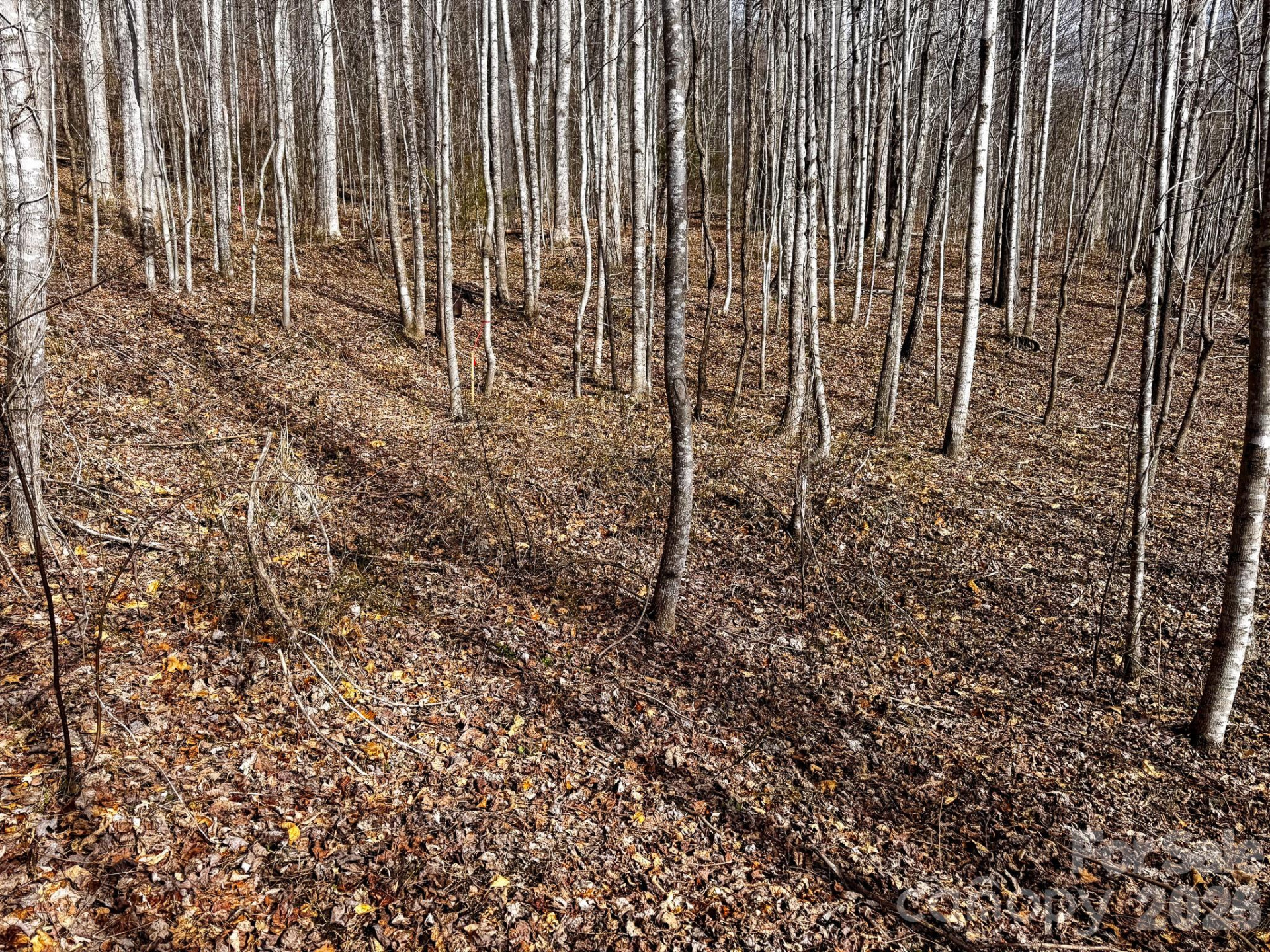 770 Somersby Parkway - Photo 11