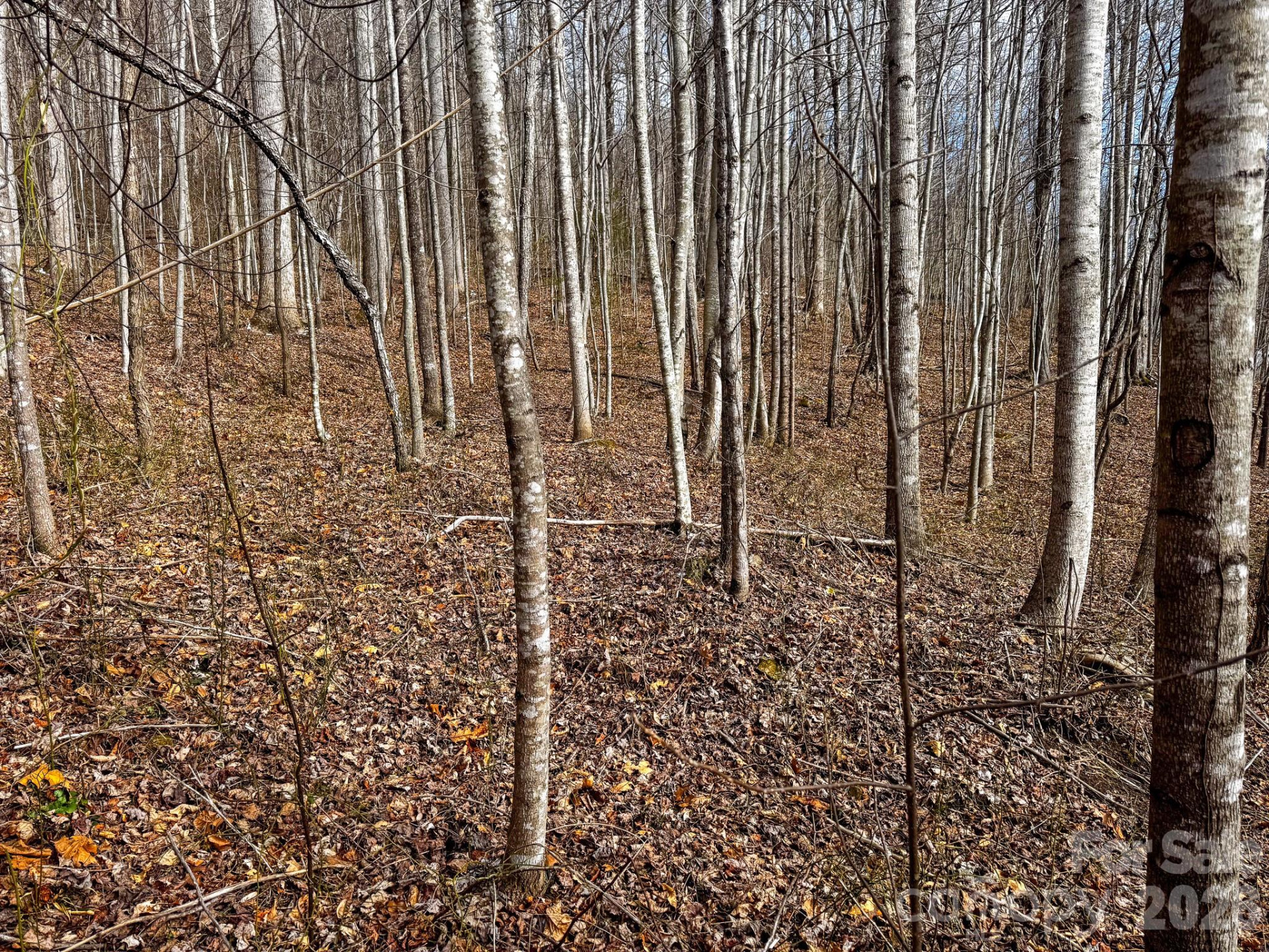 770 Somersby Parkway - Photo 12