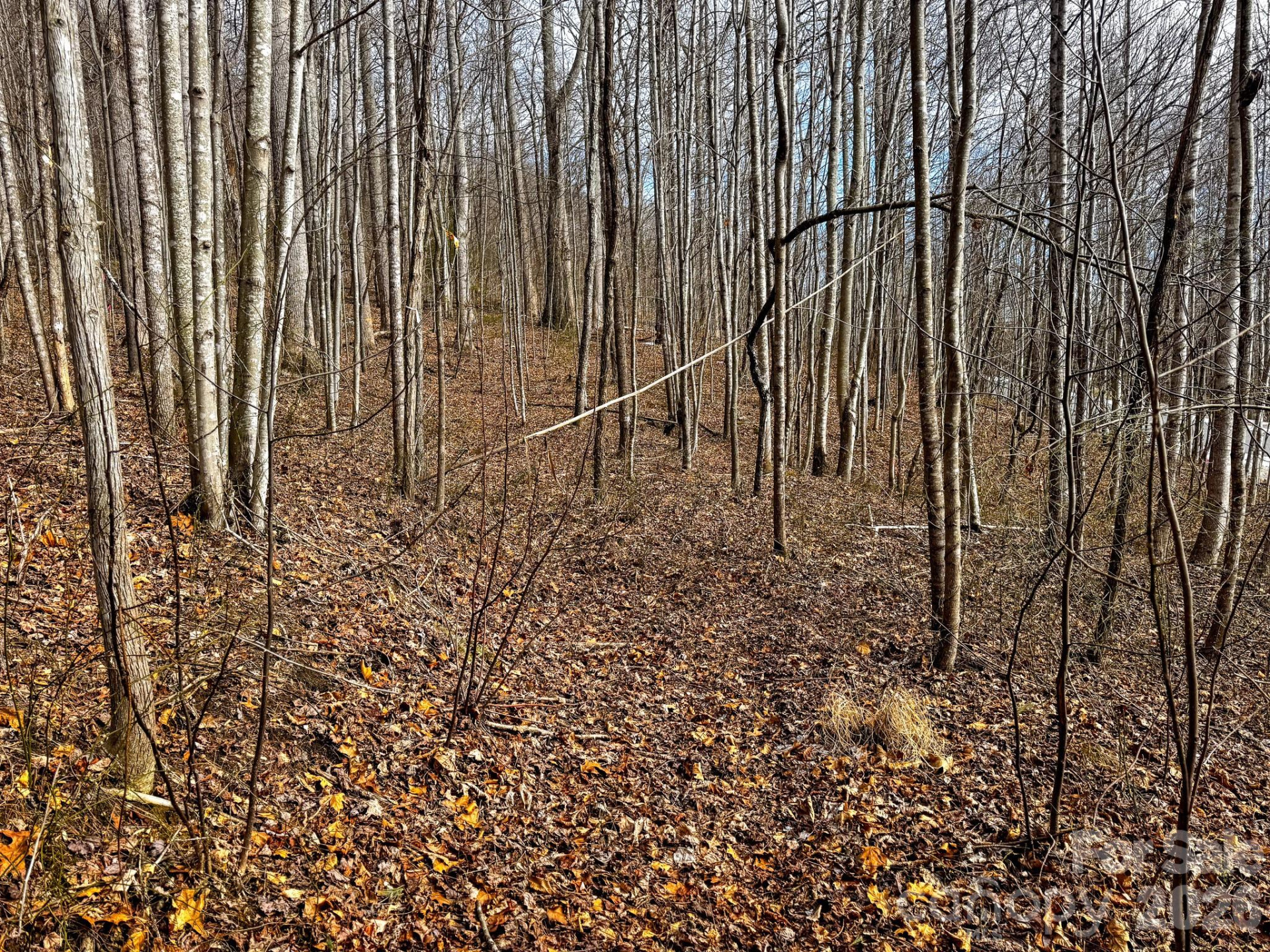 770 Somersby Parkway - Photo 13