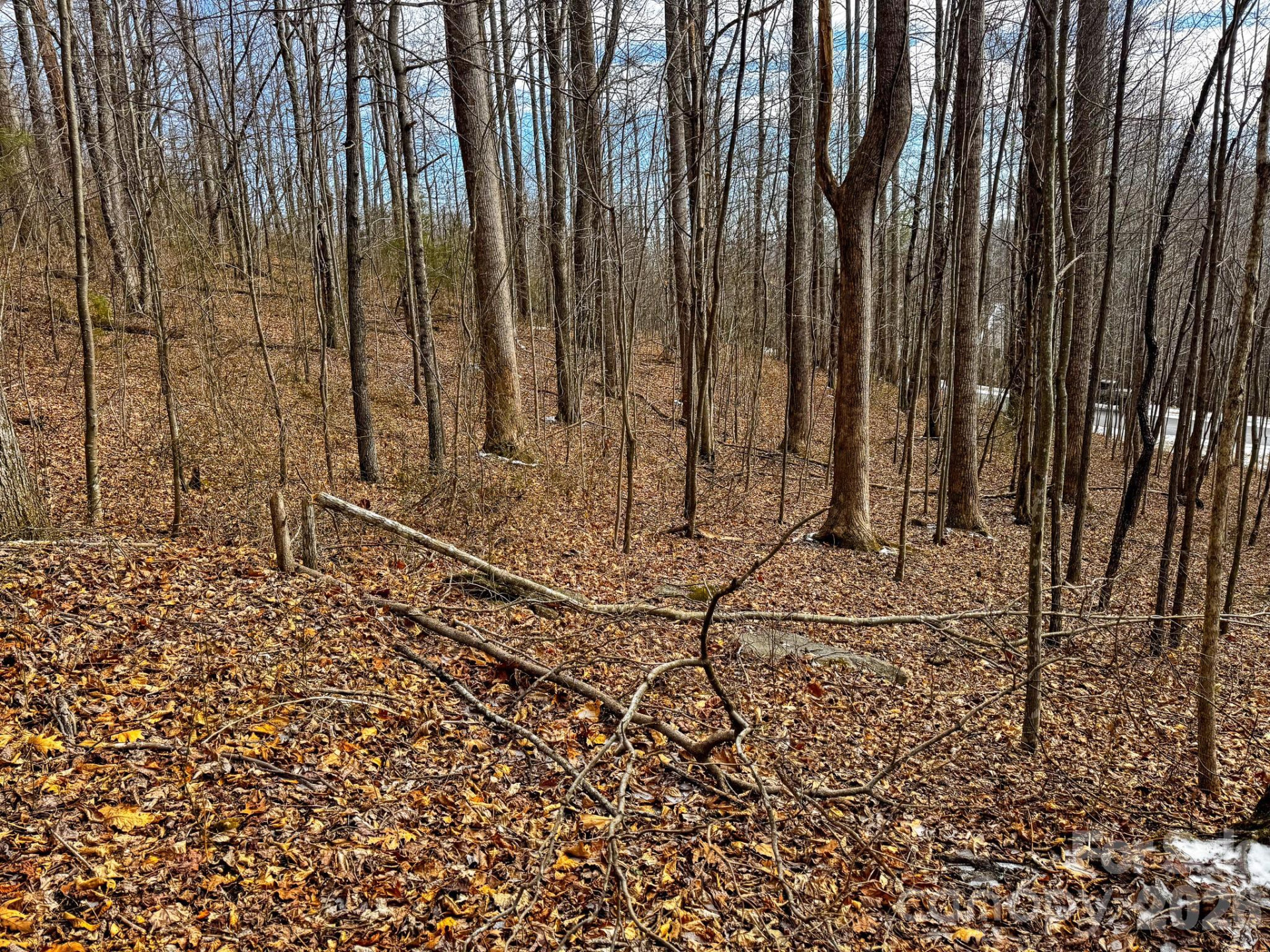 770 Somersby Parkway - Photo 14