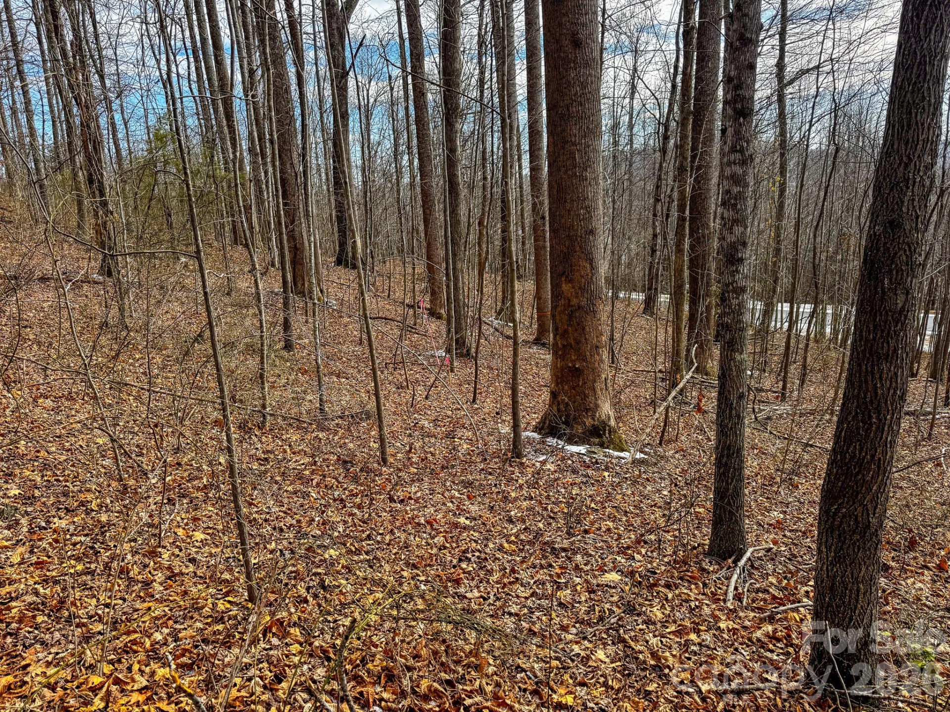 770 Somersby Parkway - Photo 15