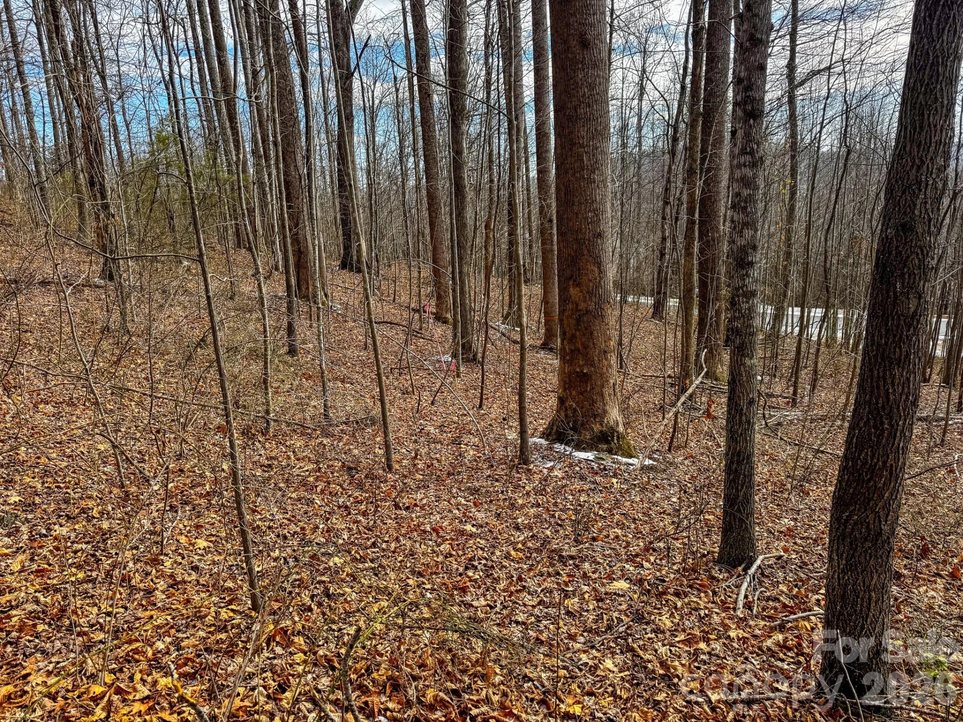 770 Somersby Parkway - Photo 15