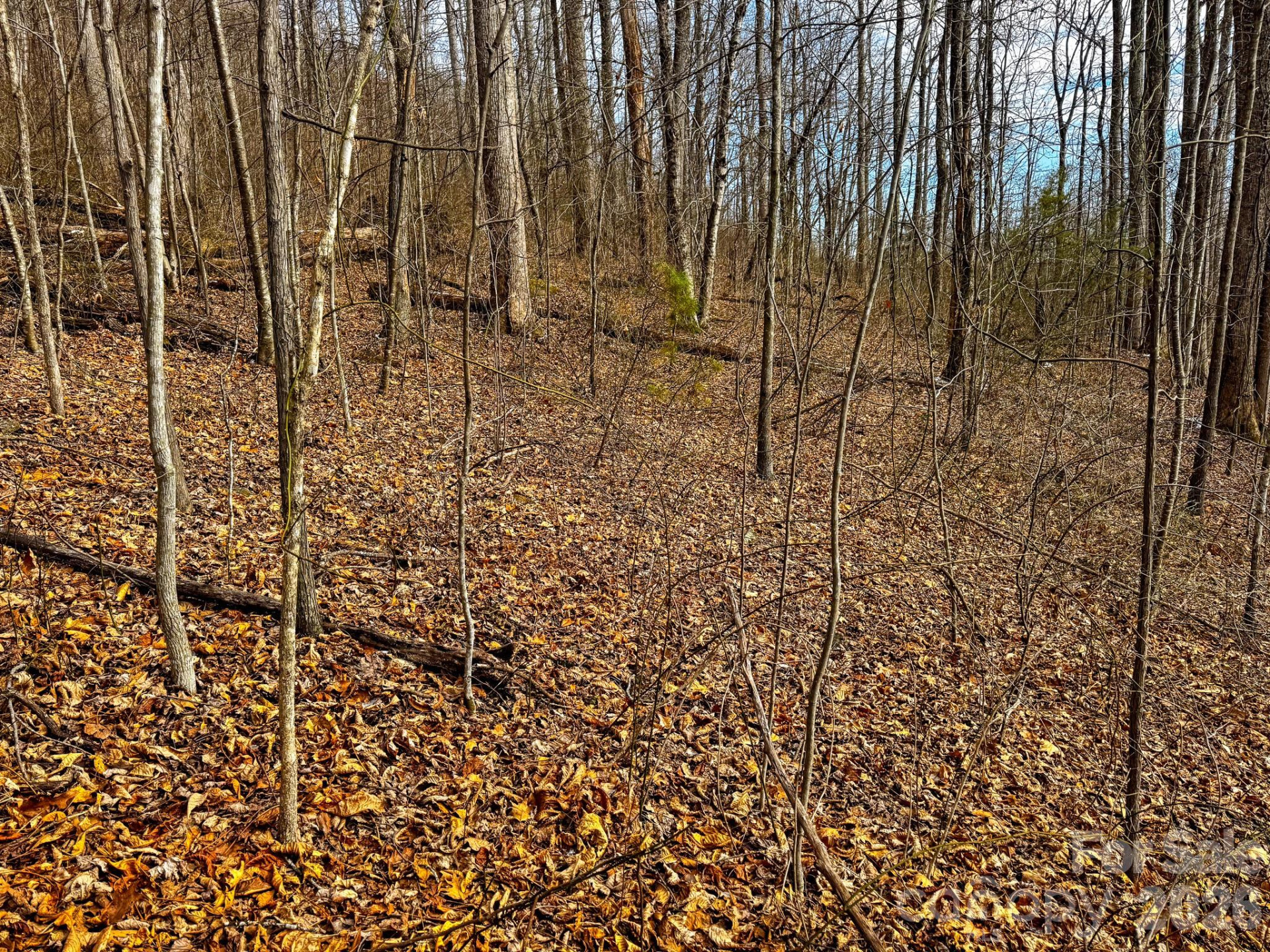 770 Somersby Parkway - Photo 16