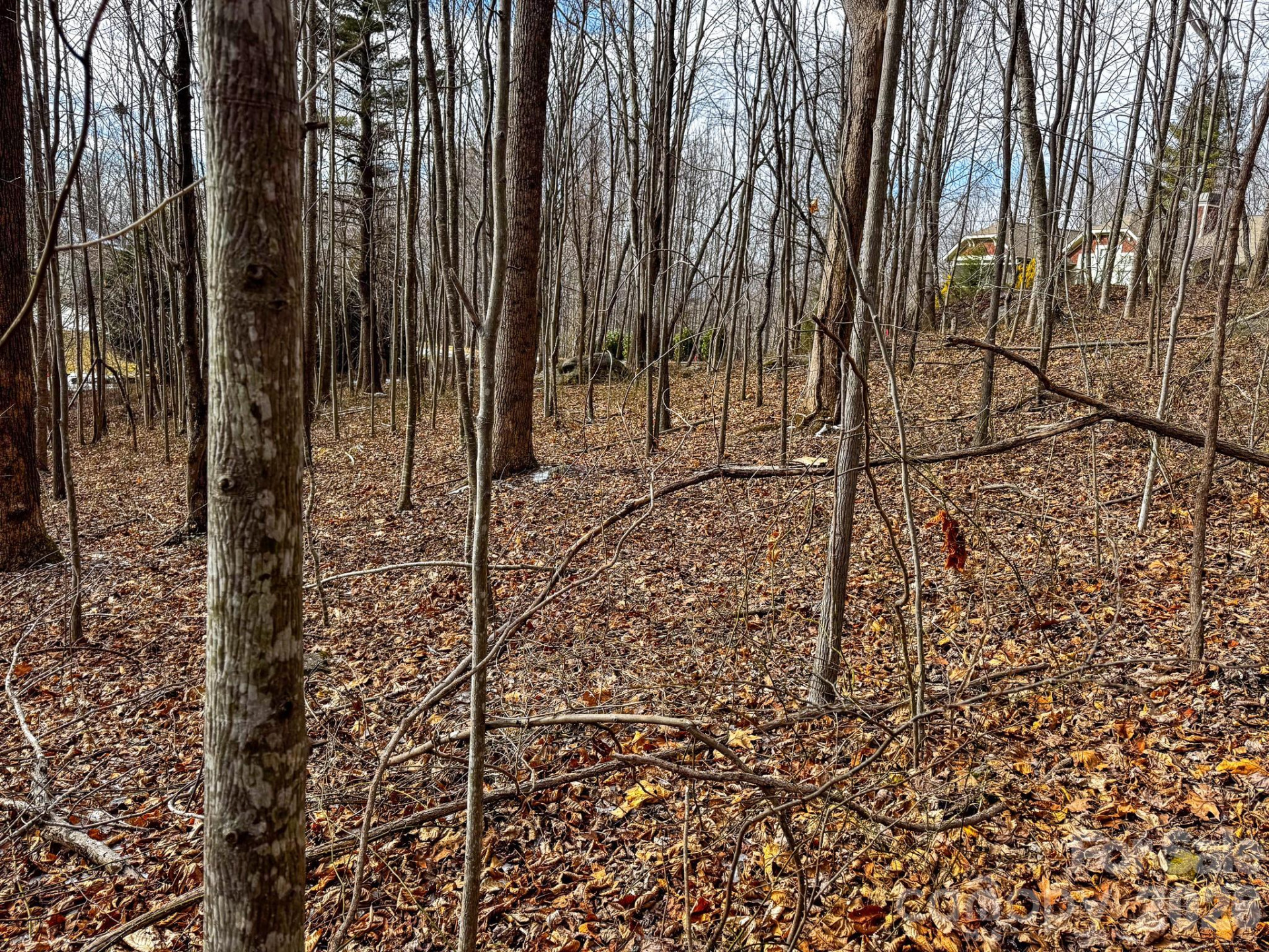 770 Somersby Parkway - Photo 17