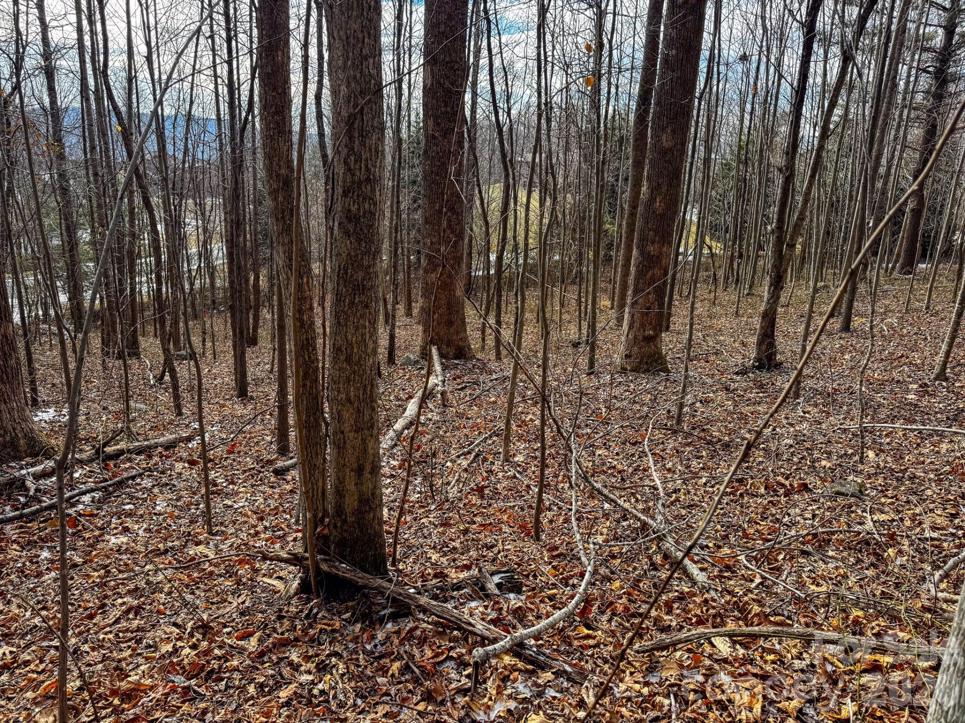 770 Somersby Parkway - Photo 18