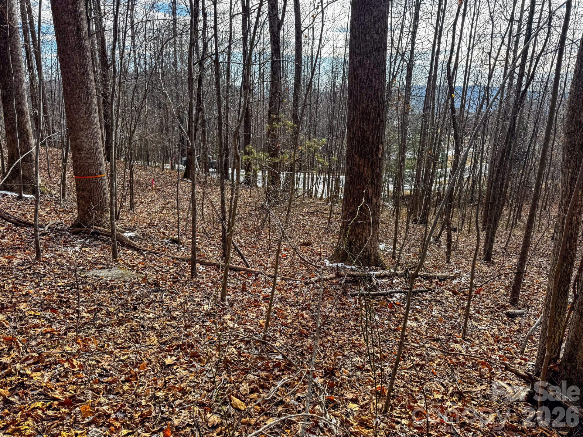 770 Somersby Parkway - Photo 19