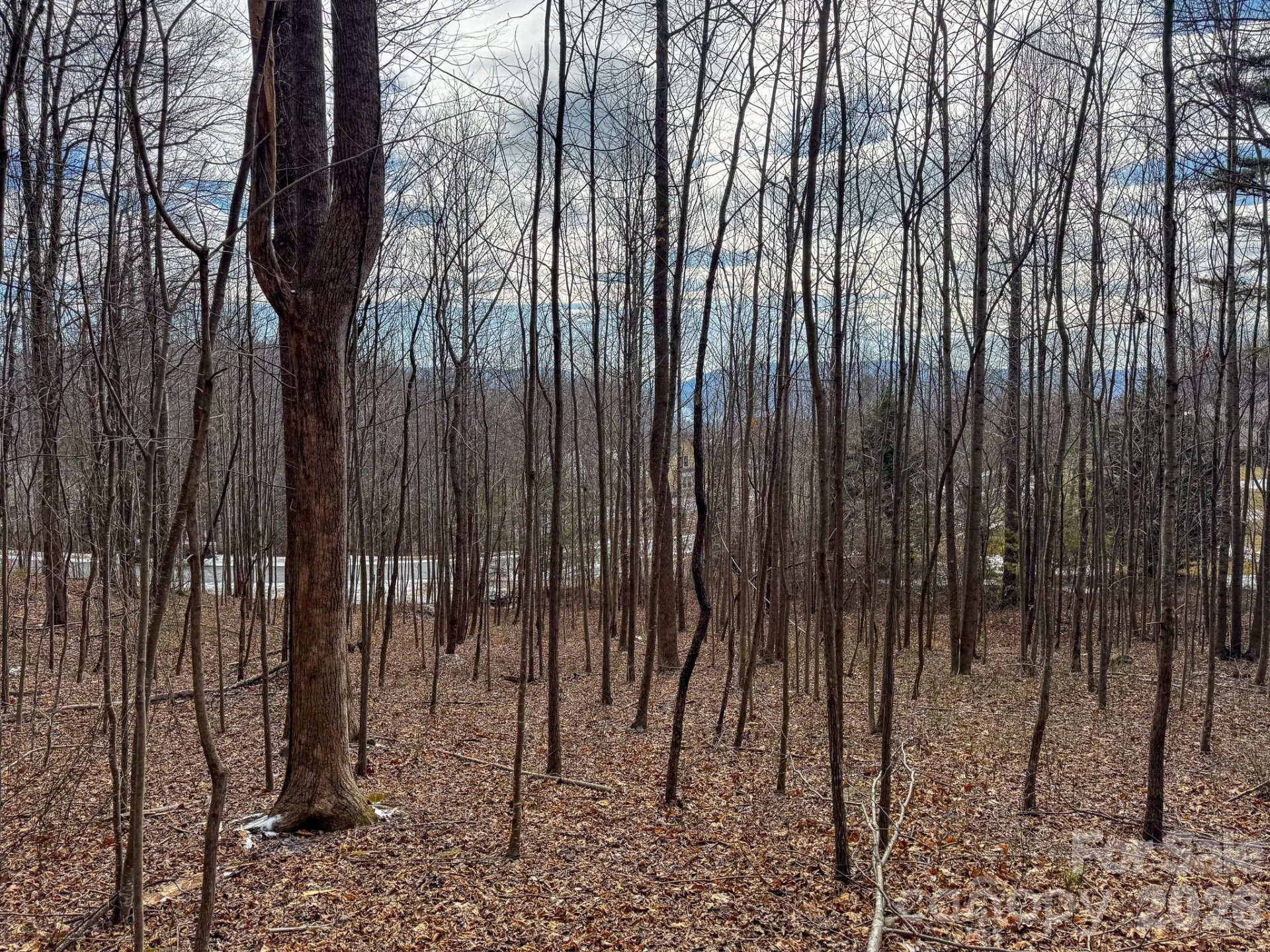 770 Somersby Parkway - Photo 3