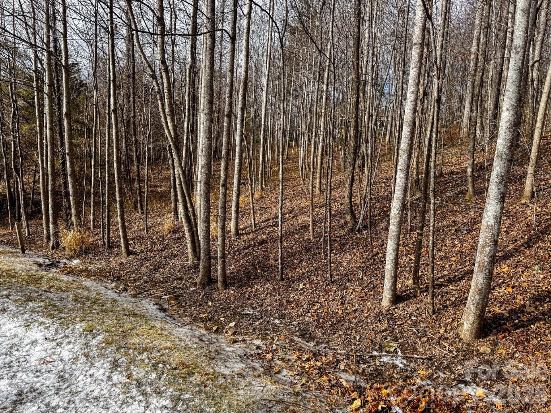 770 Somersby Parkway - Photo 21