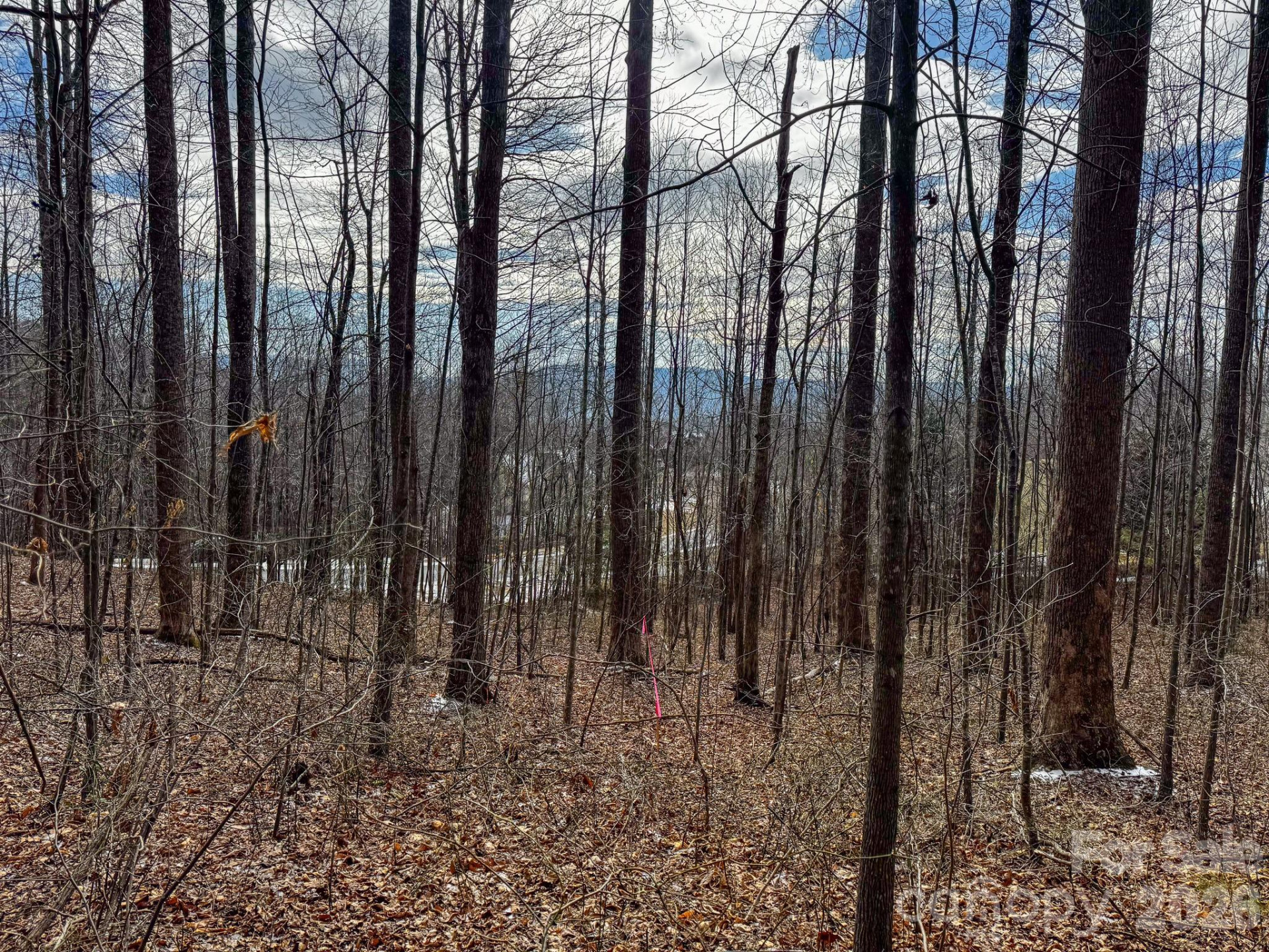 770 Somersby Parkway - Photo 4