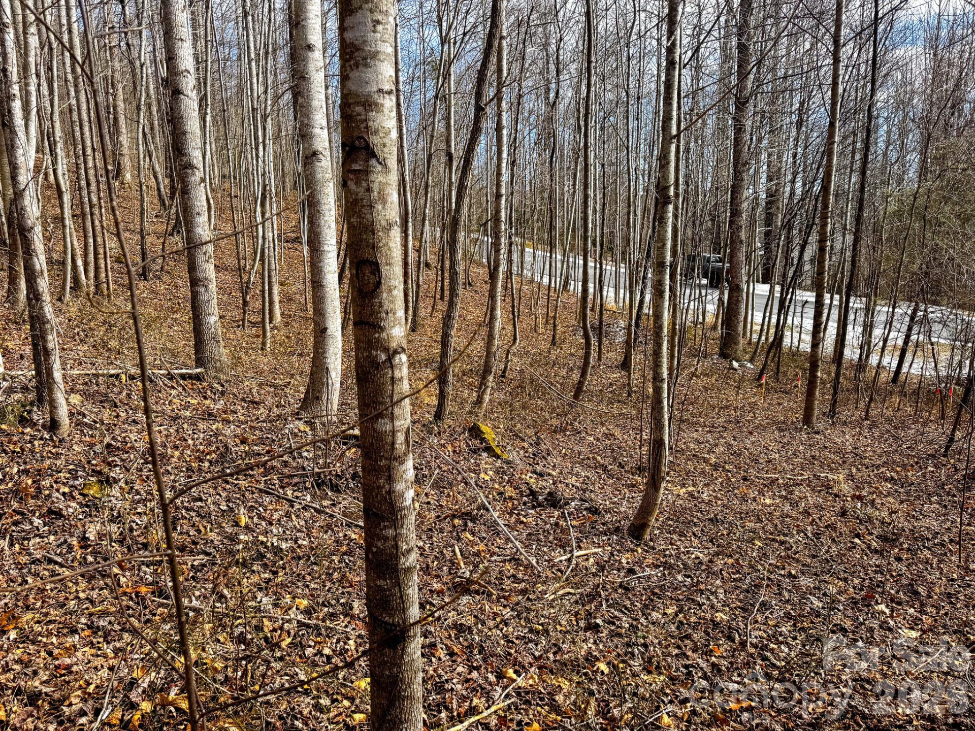 770 Somersby Parkway - Photo 5