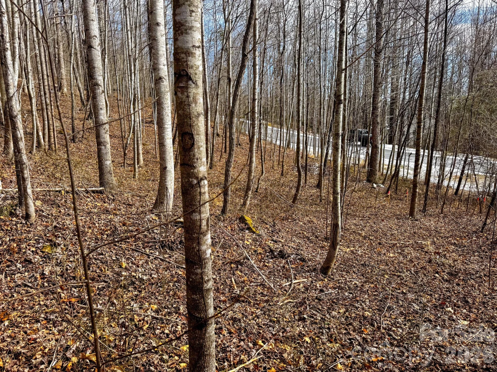 770 Somersby Parkway - Photo 5