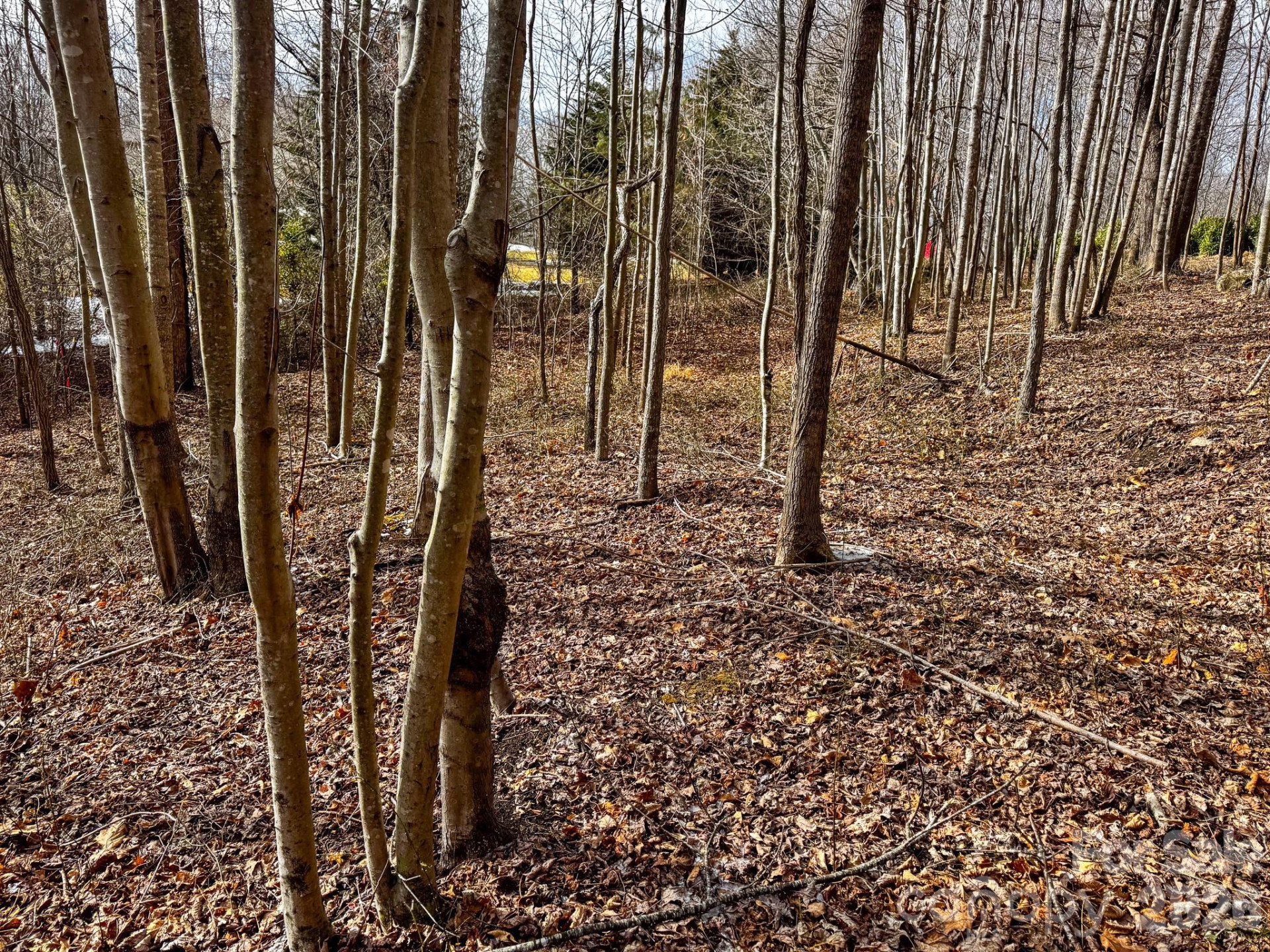 770 Somersby Parkway - Photo 6