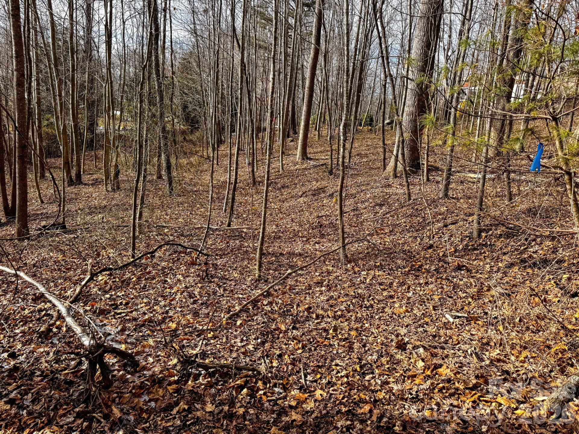 770 Somersby Parkway - Photo 7