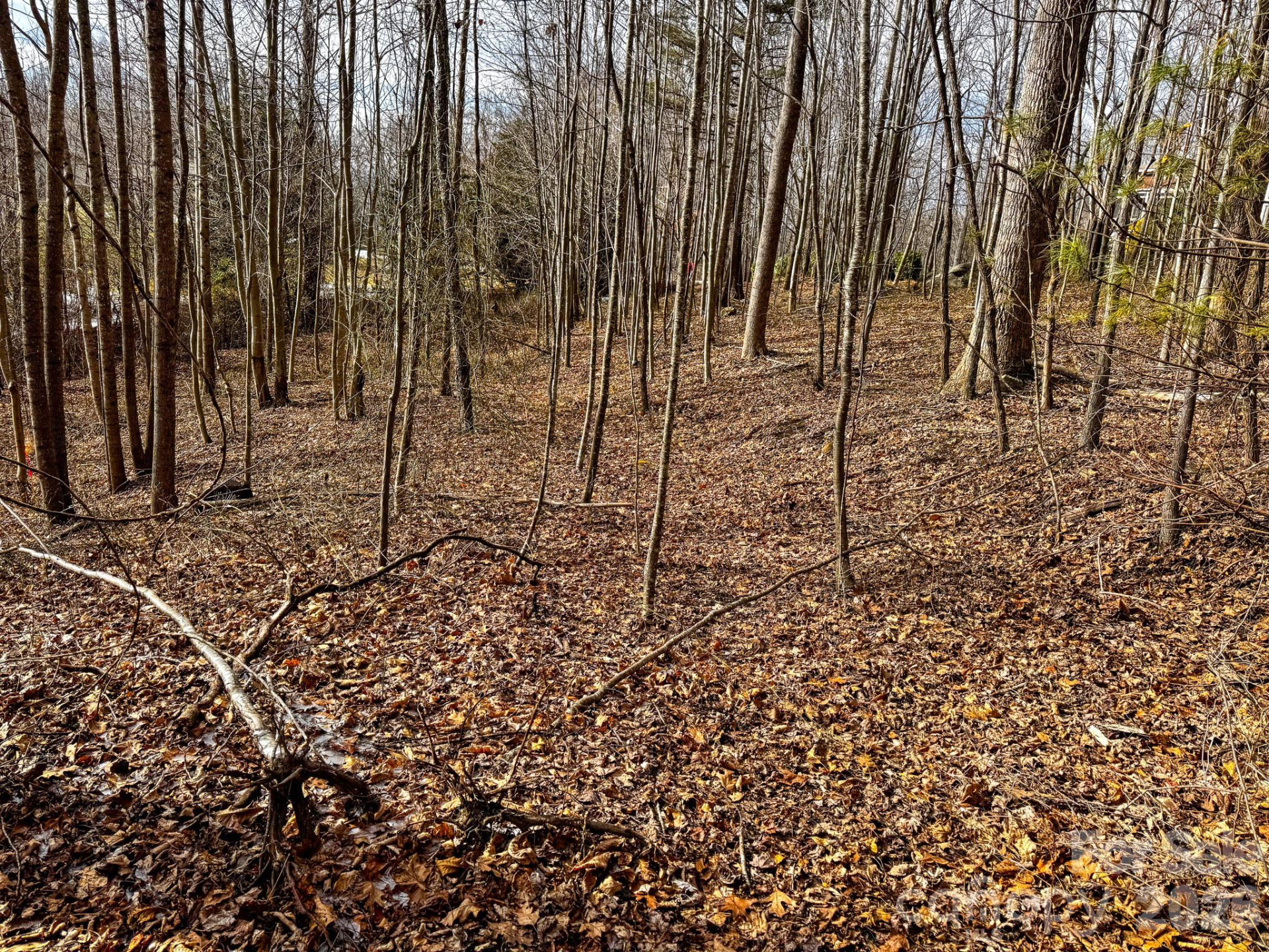 770 Somersby Parkway - Photo 8