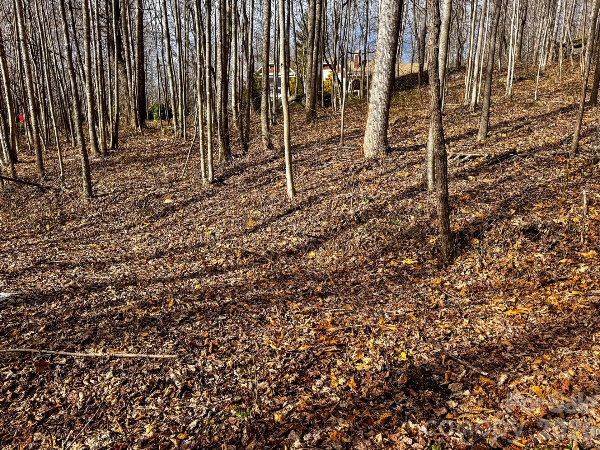 770 Somersby Parkway - Photo 9