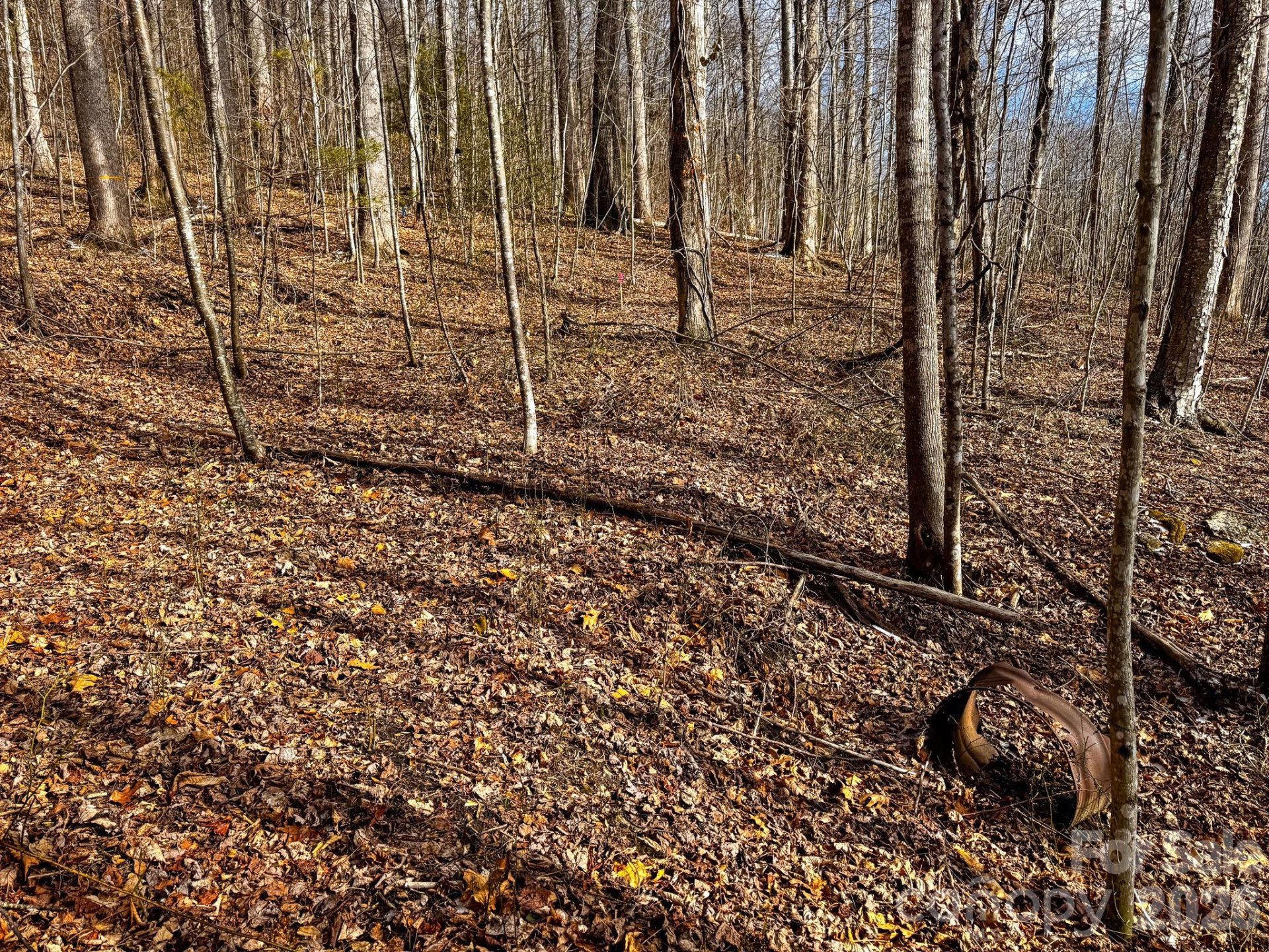 770 Somersby Parkway - Photo 10