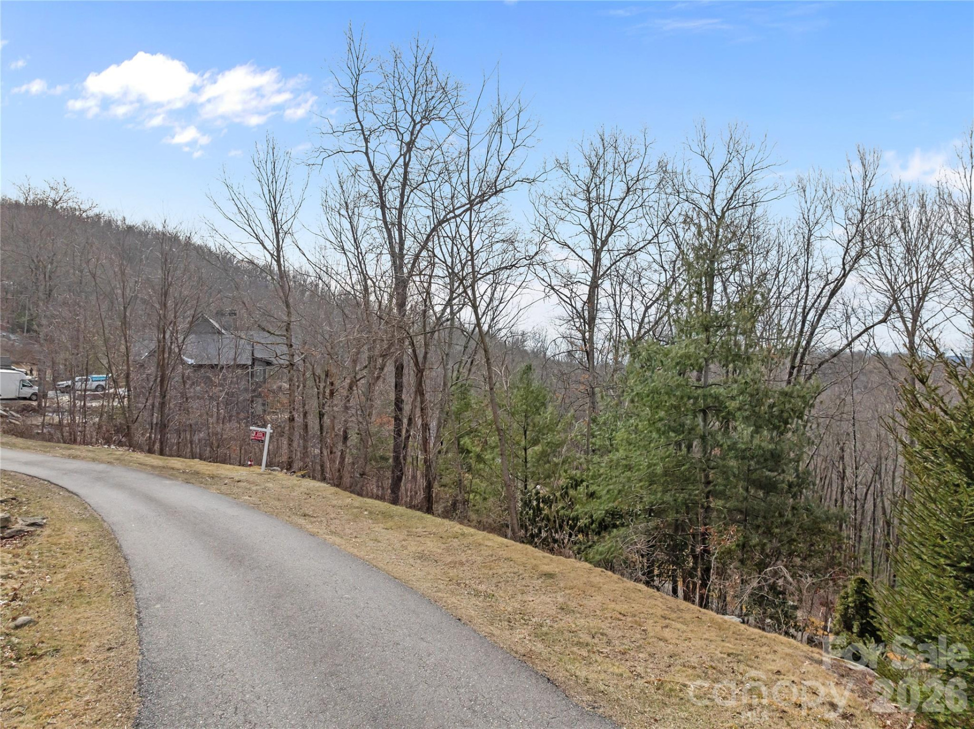 LT 42 Beechfern Drive #42 - Photo 2