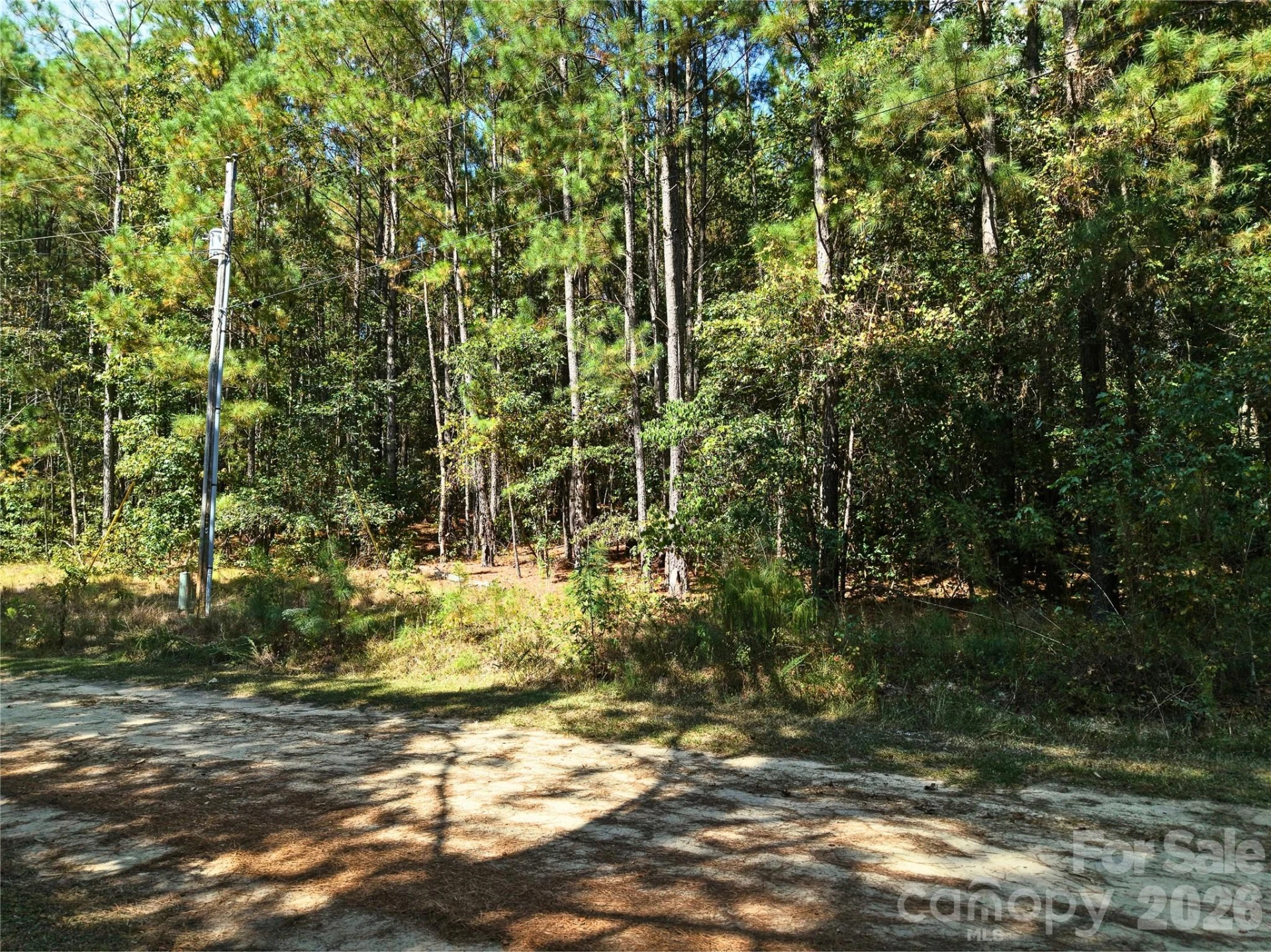 00-00 Deer Trail #LOT 39 - Photo 15