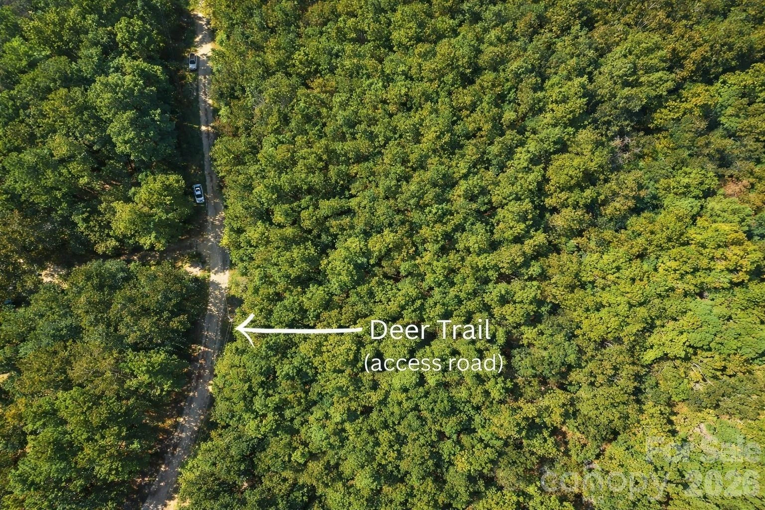 00-00 Deer Trail #LOT 39 - Photo 3
